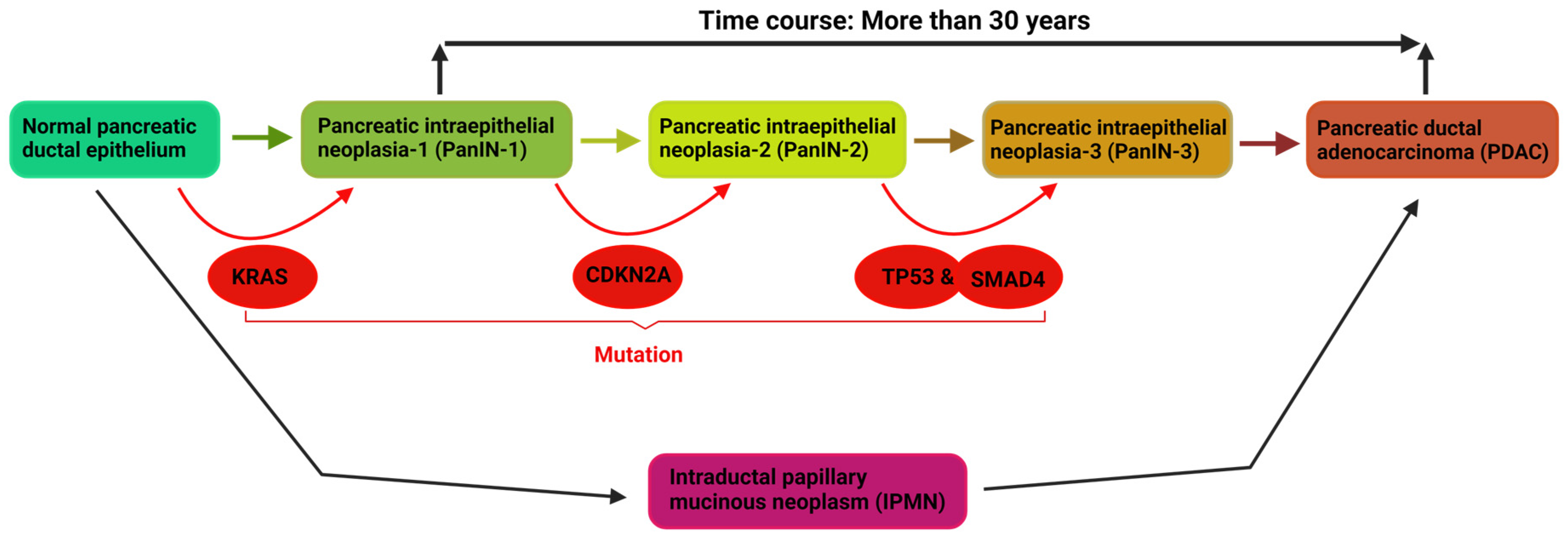 Cancers 16 01808 g001