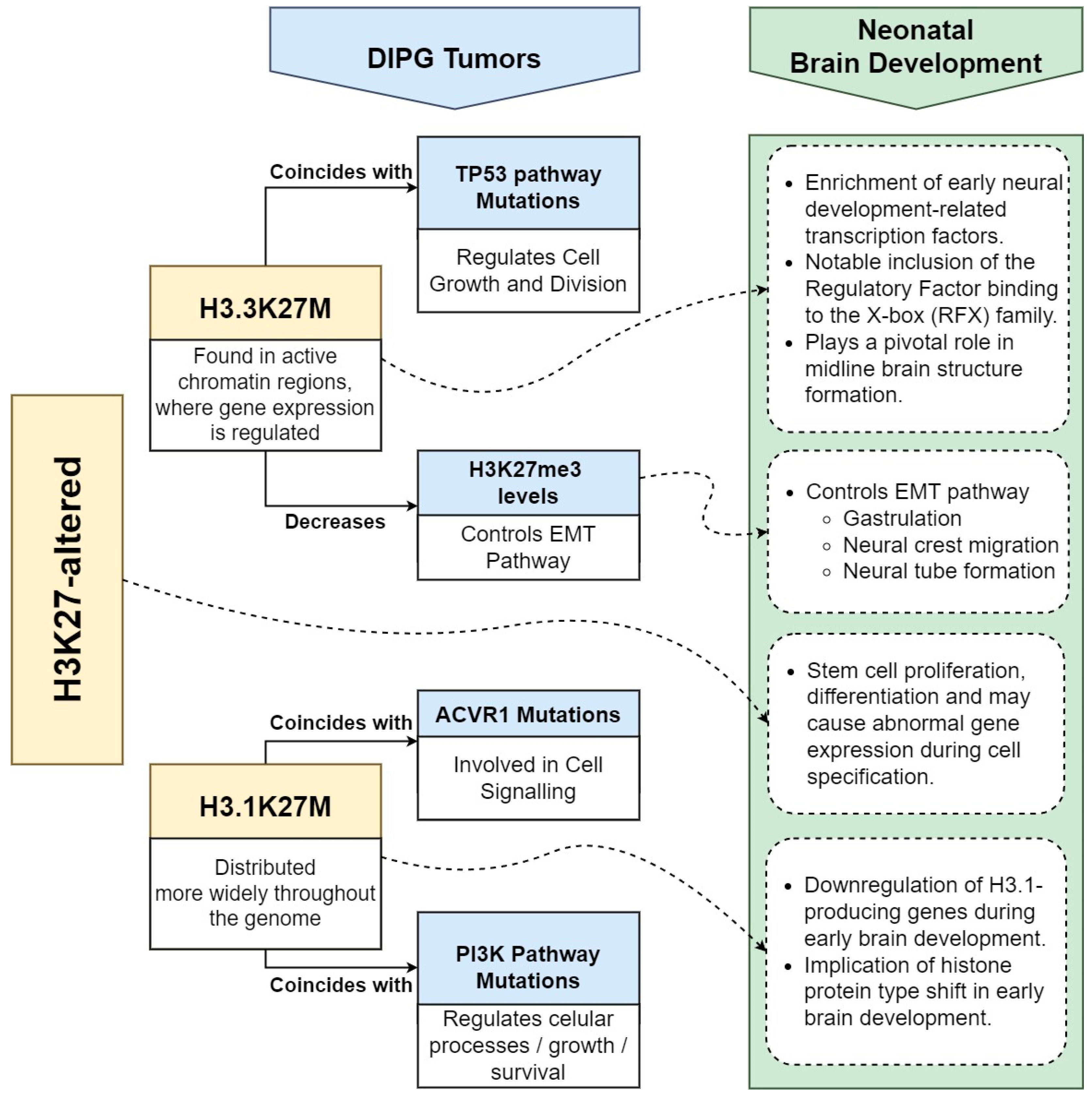 Cancers 16 01814 g002