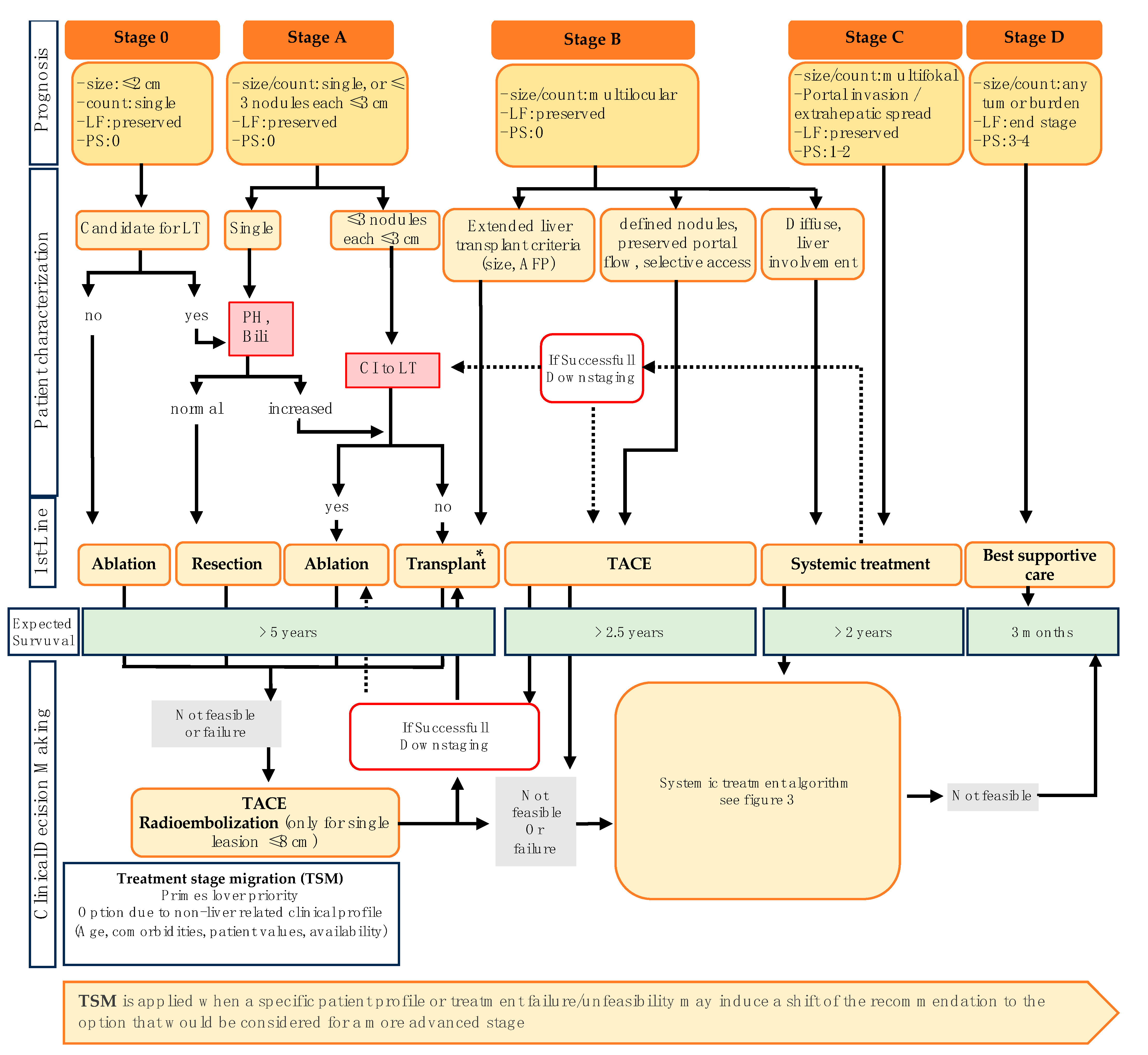 Cancers 16 01831 g002 Cancers 16 01831 g002