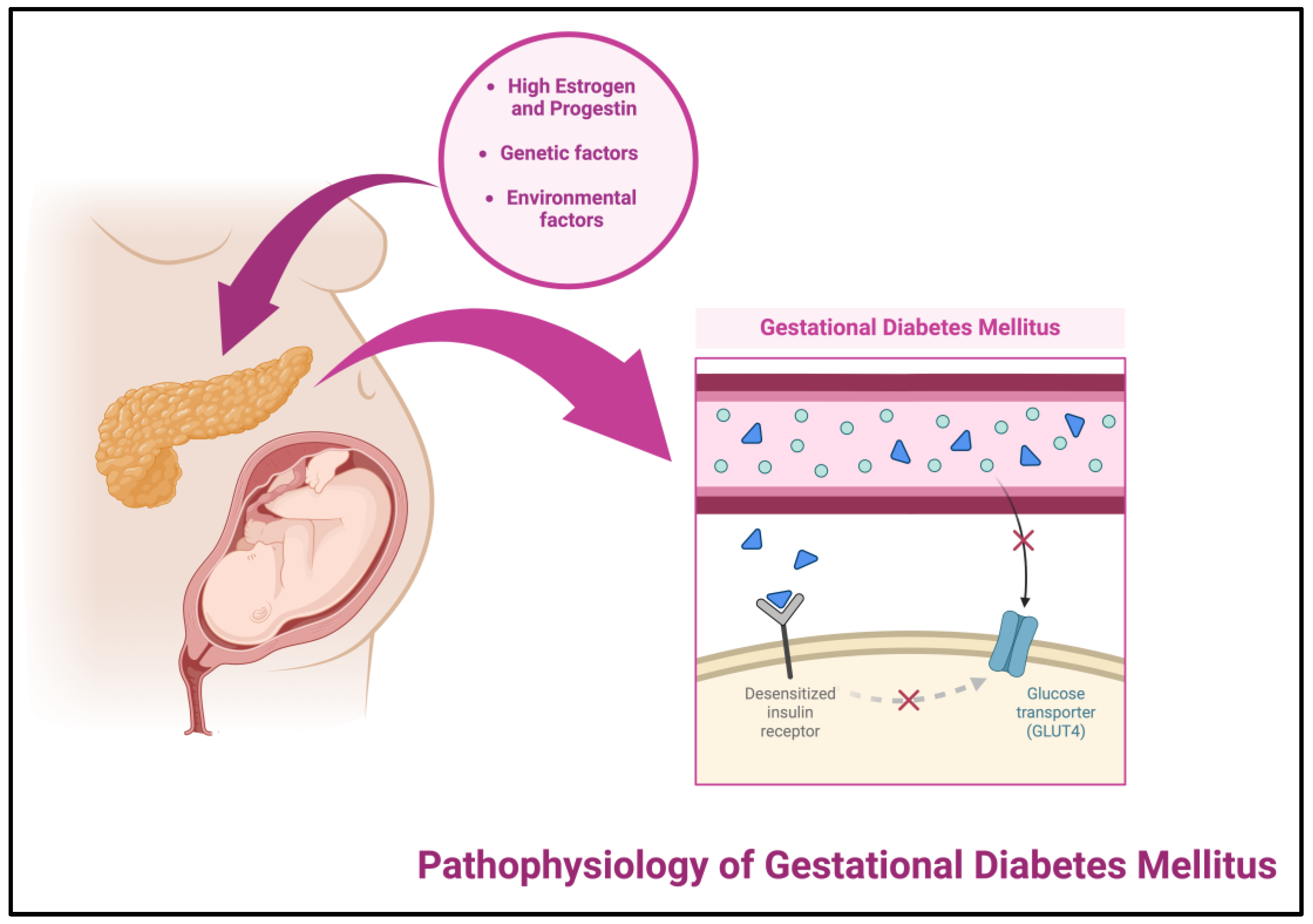 Cancers 16 01840 g002