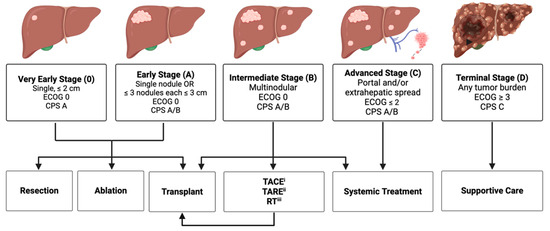 Cancers | Free Full-Text | Immunotherapy as a Complement to Surgical ...