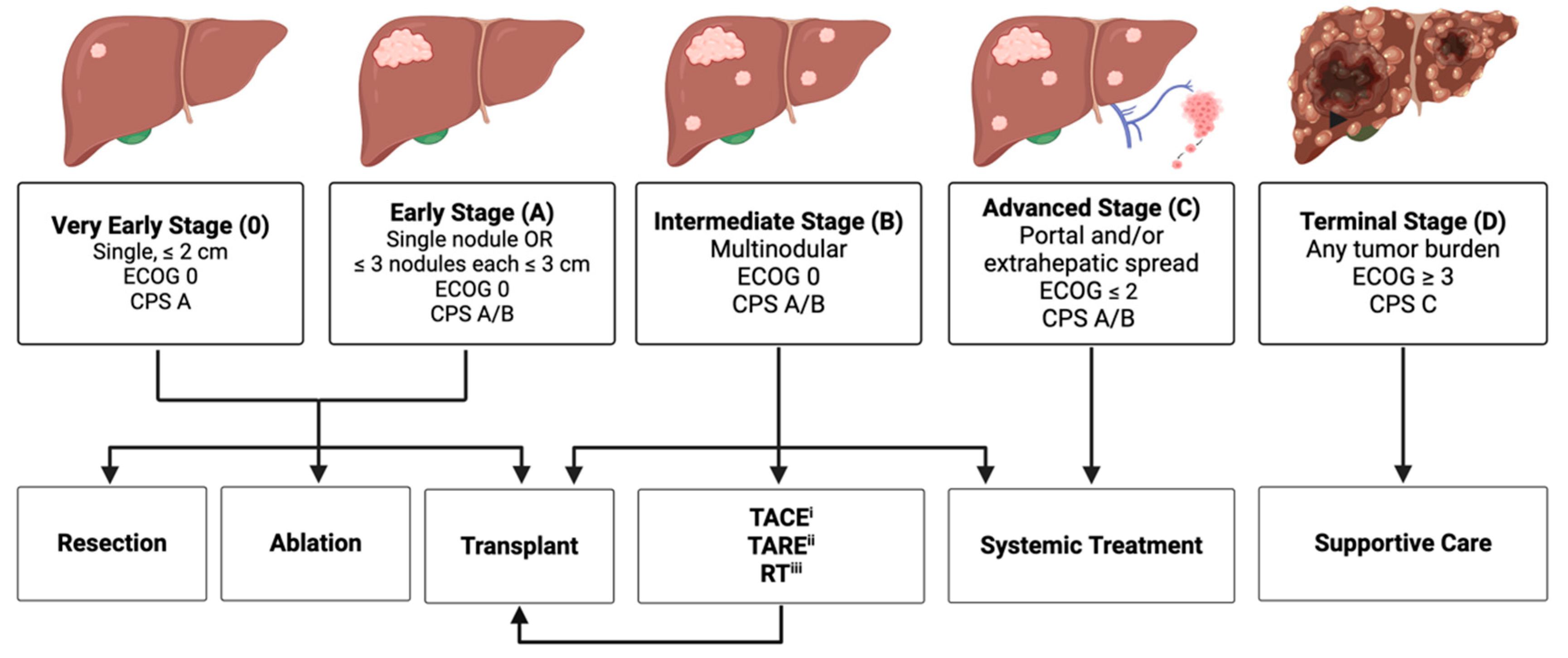 Cancers 16 01852 g001