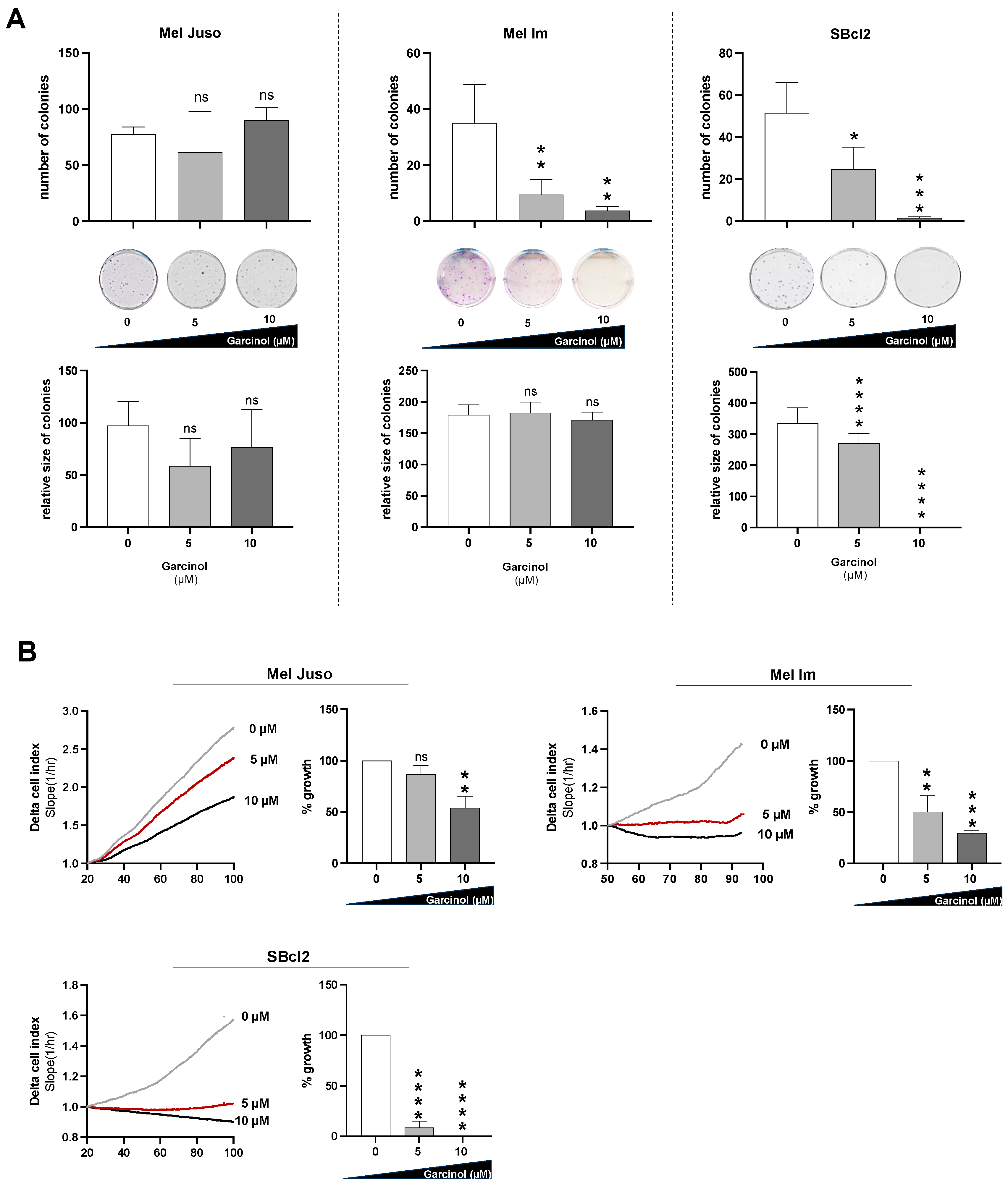 Cancers 16 01853 g001 Cancers 16 01853 g001