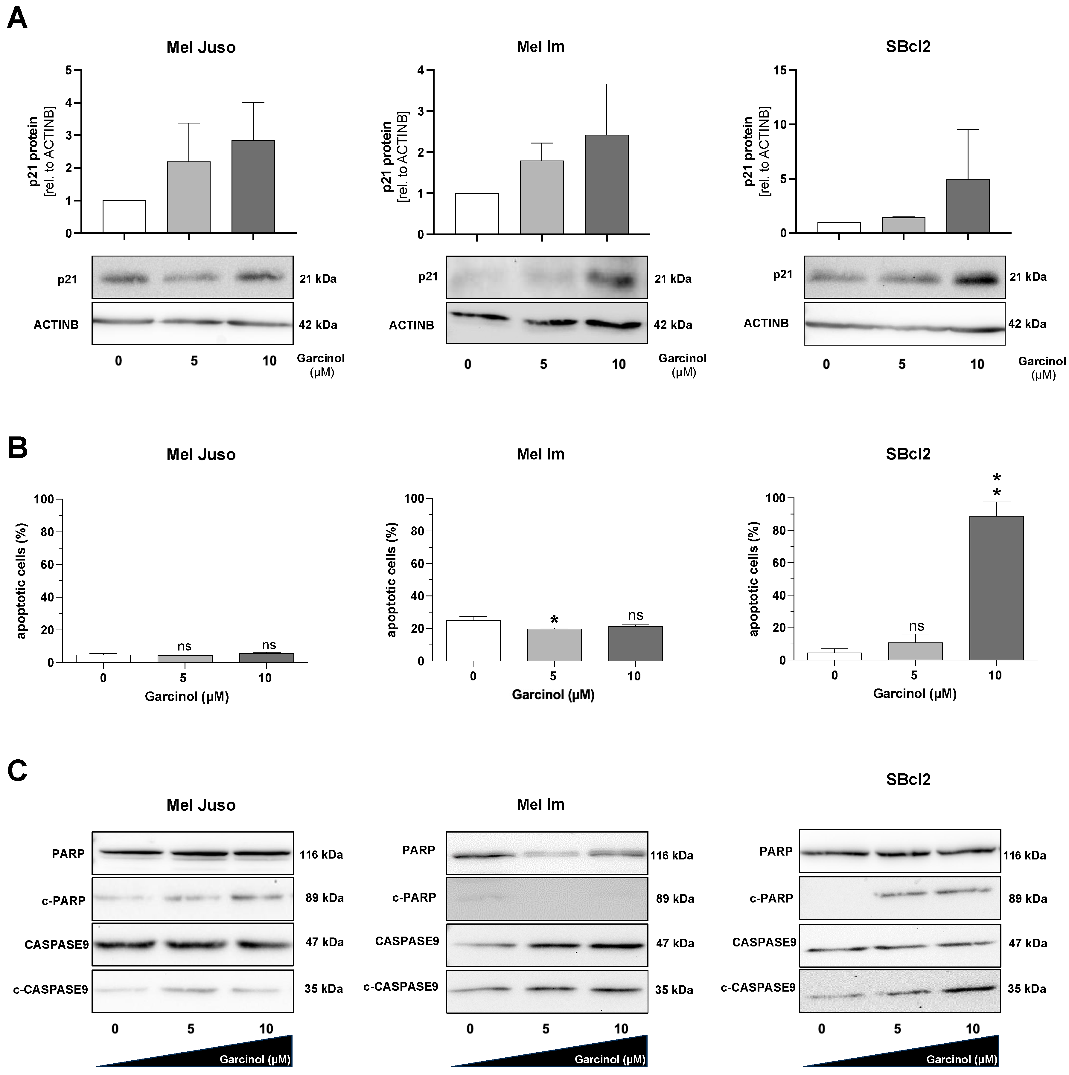 Cancers 16 01853 g002 Cancers 16 01853 g002