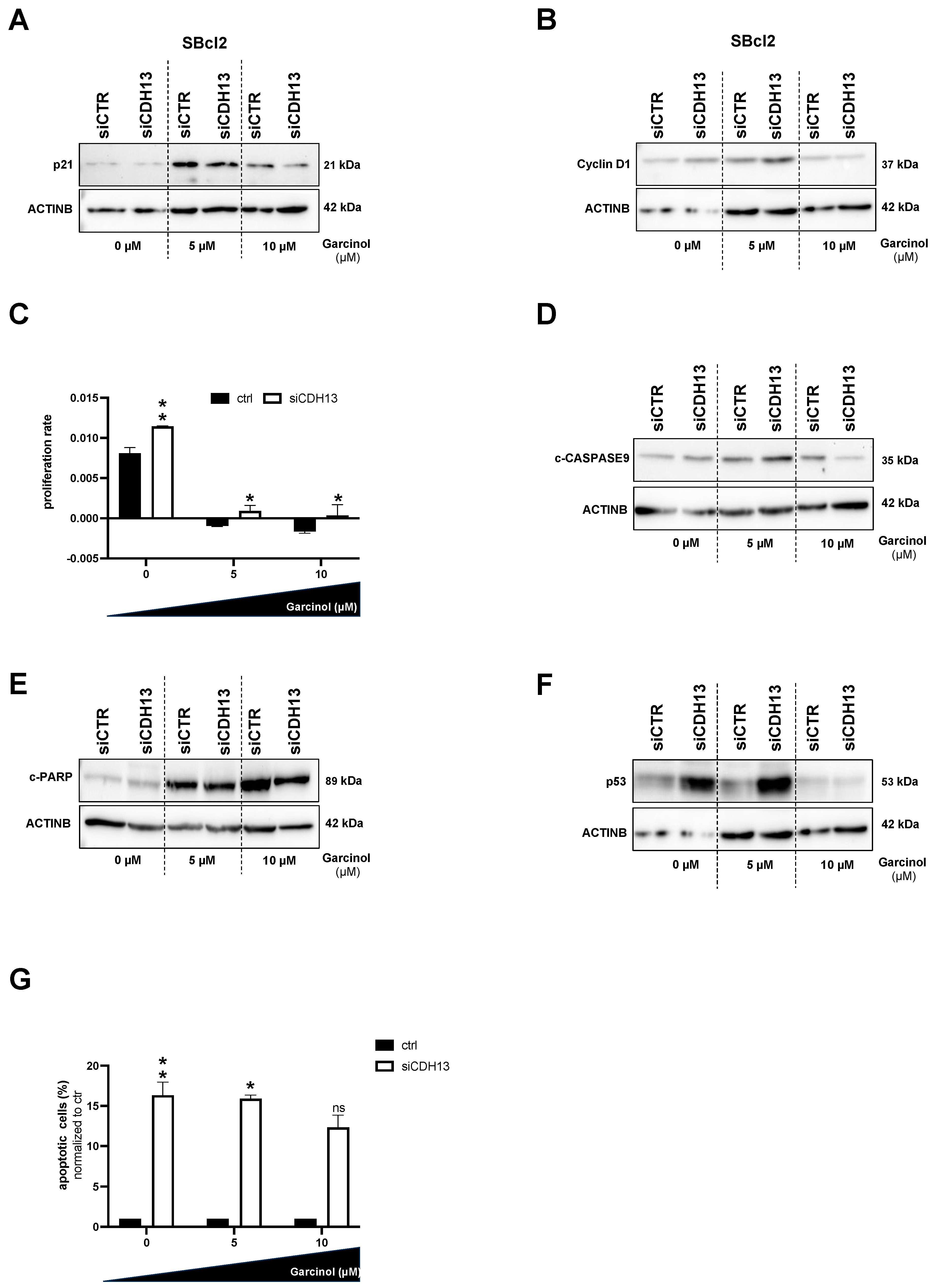 Cancers 16 01853 g004 Cancers 16 01853 g004