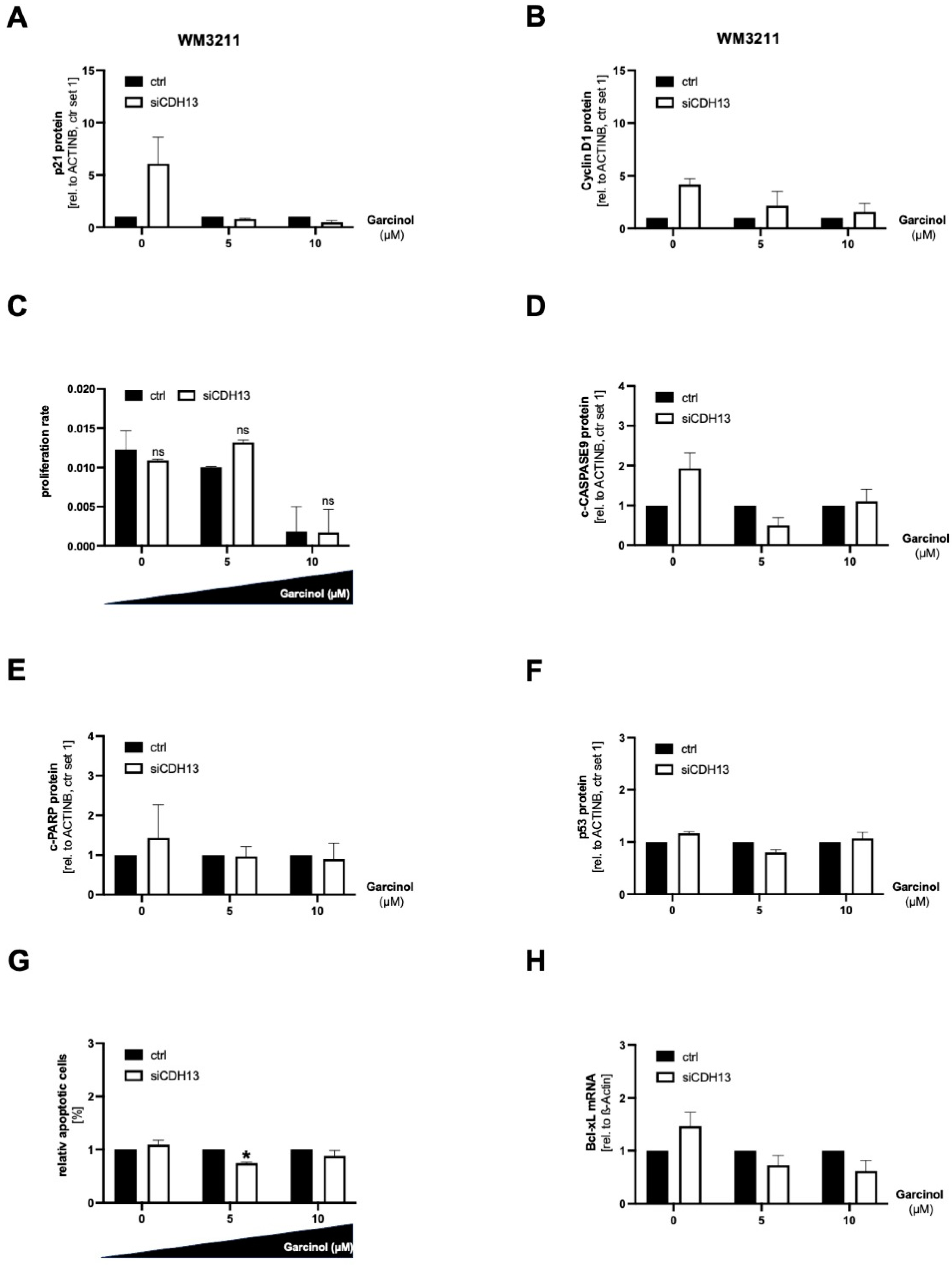 Cancers 16 01853 g005 Cancers 16 01853 g005