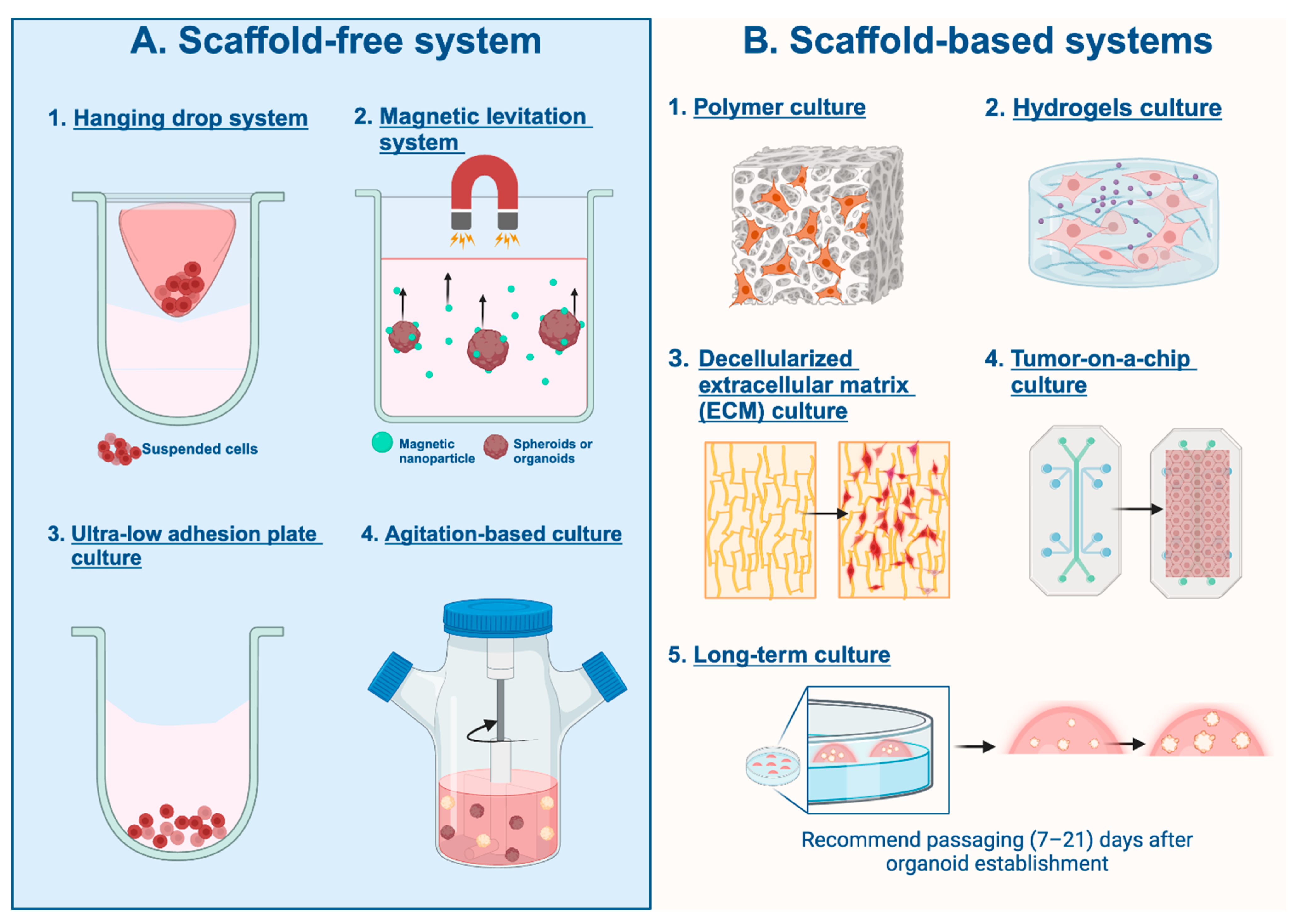 Cancers 16 01859 g002