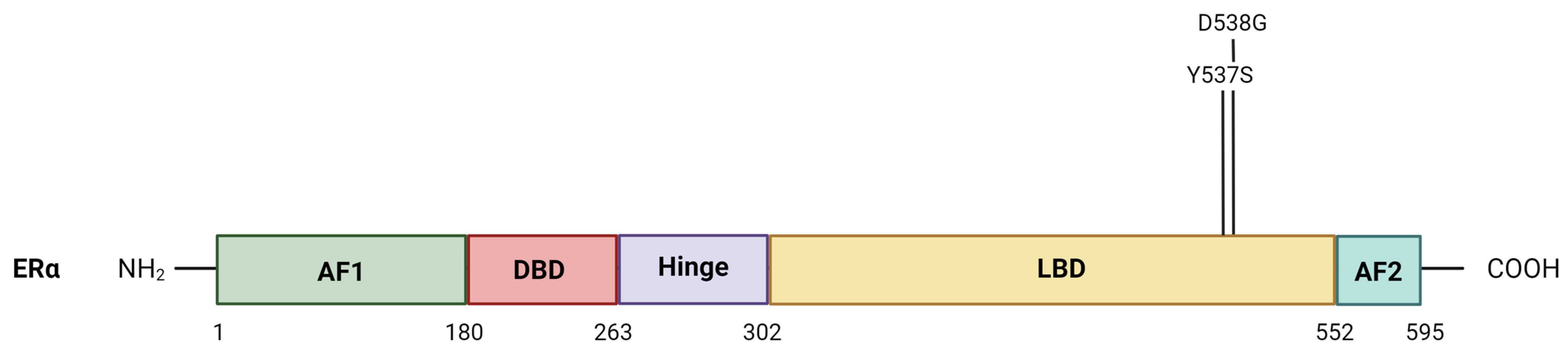 Cancers 16 01862 g001