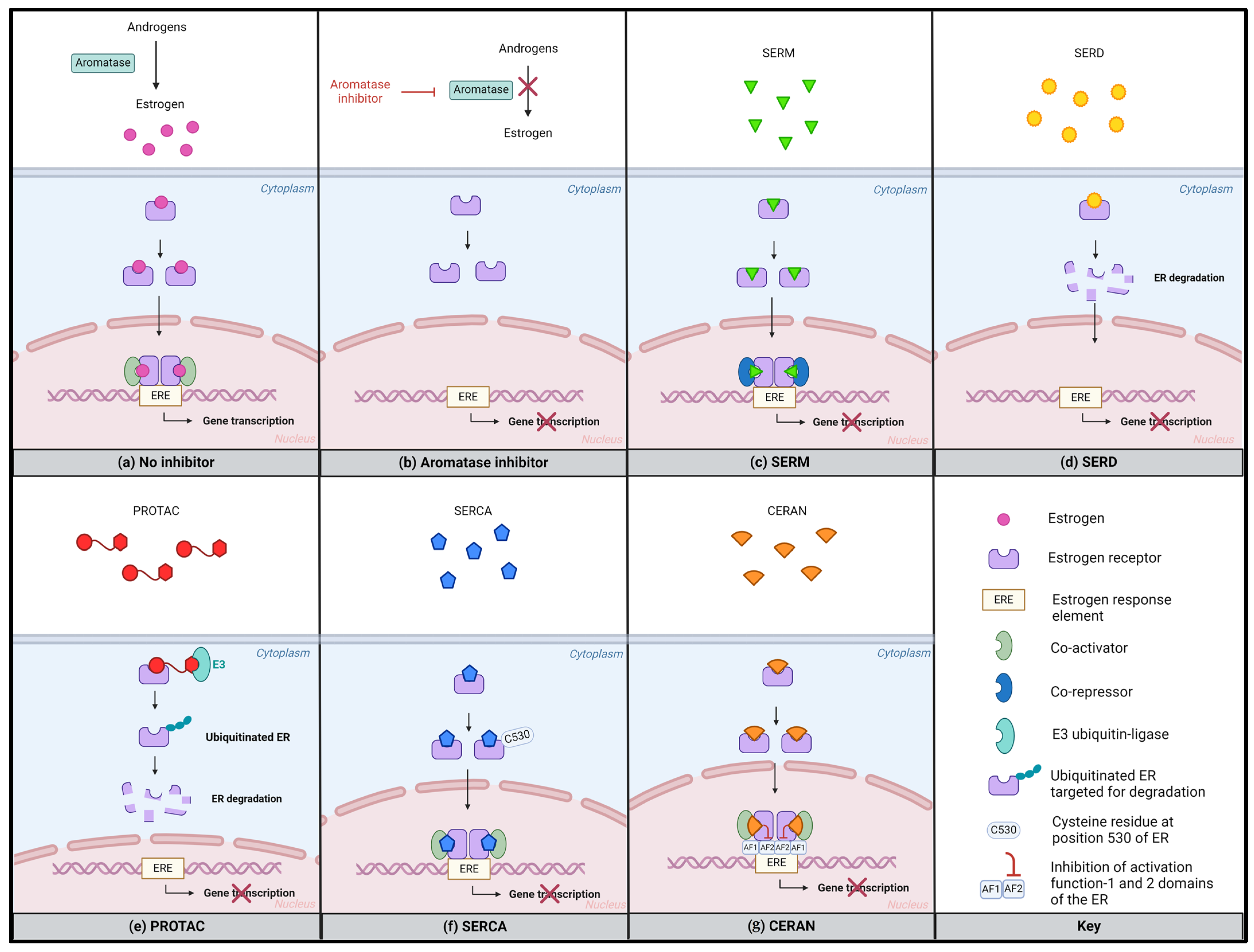 Cancers 16 01862 g003