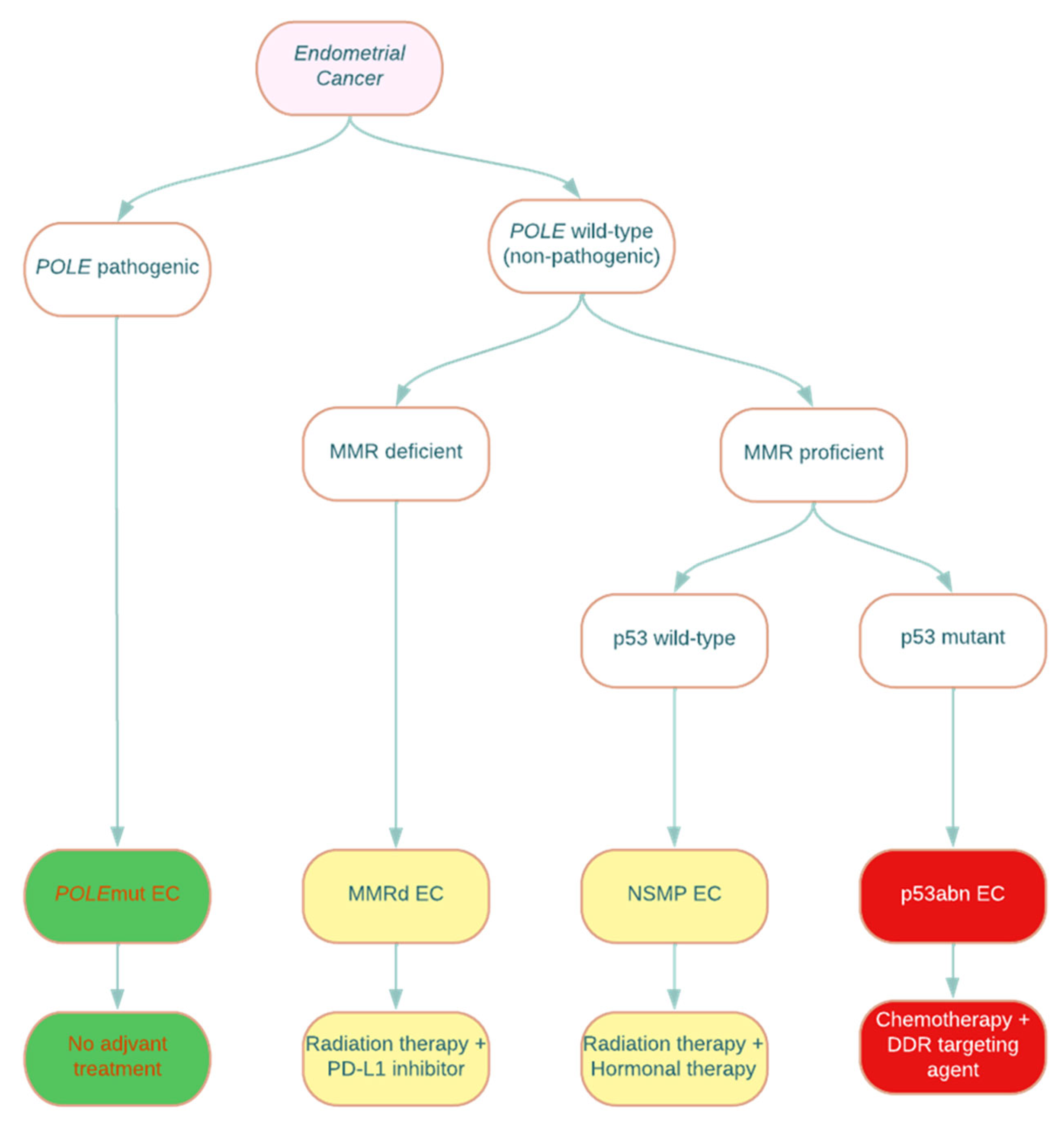 Cancers 16 01869 g002