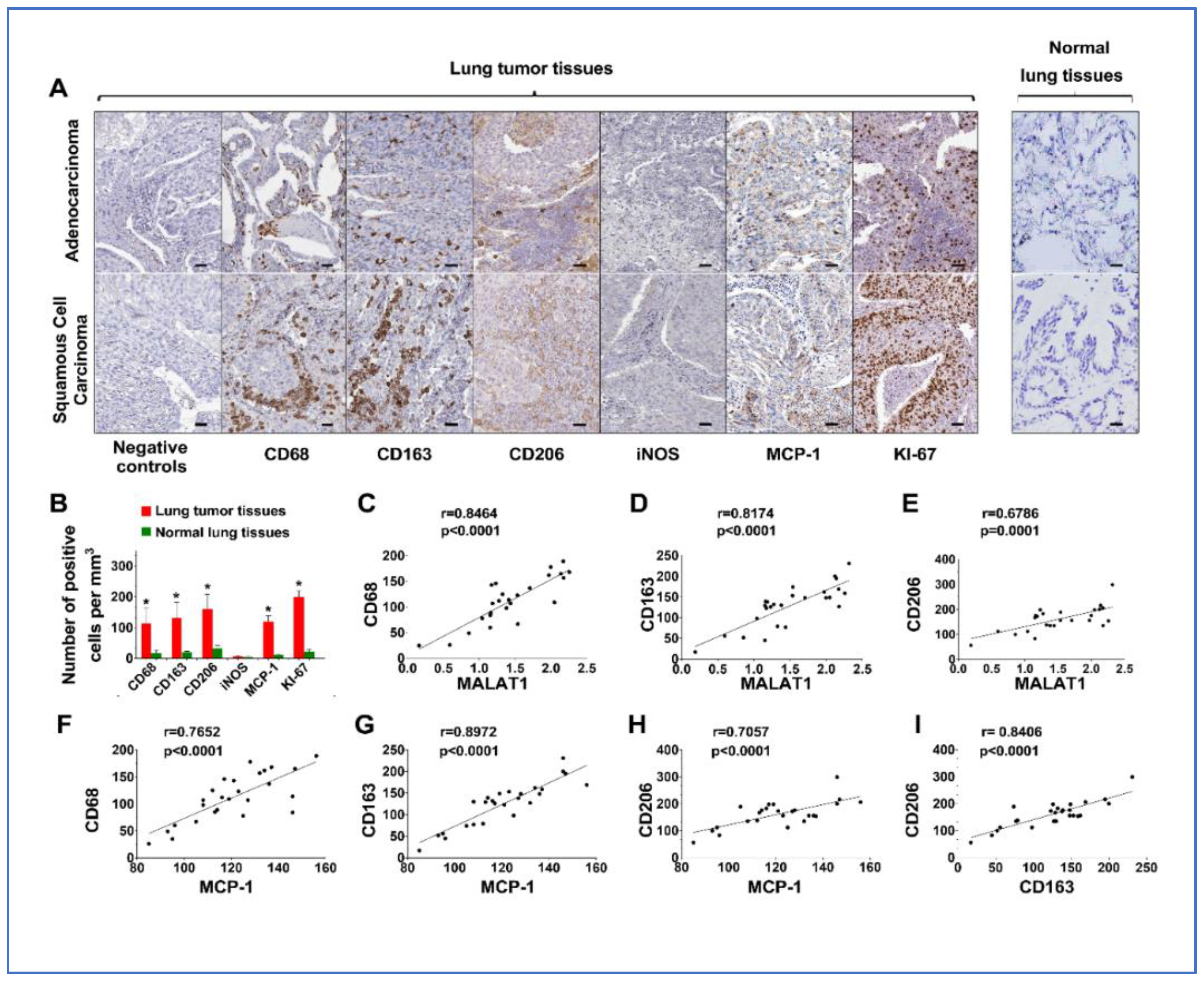 Cancers 16 01876 g004