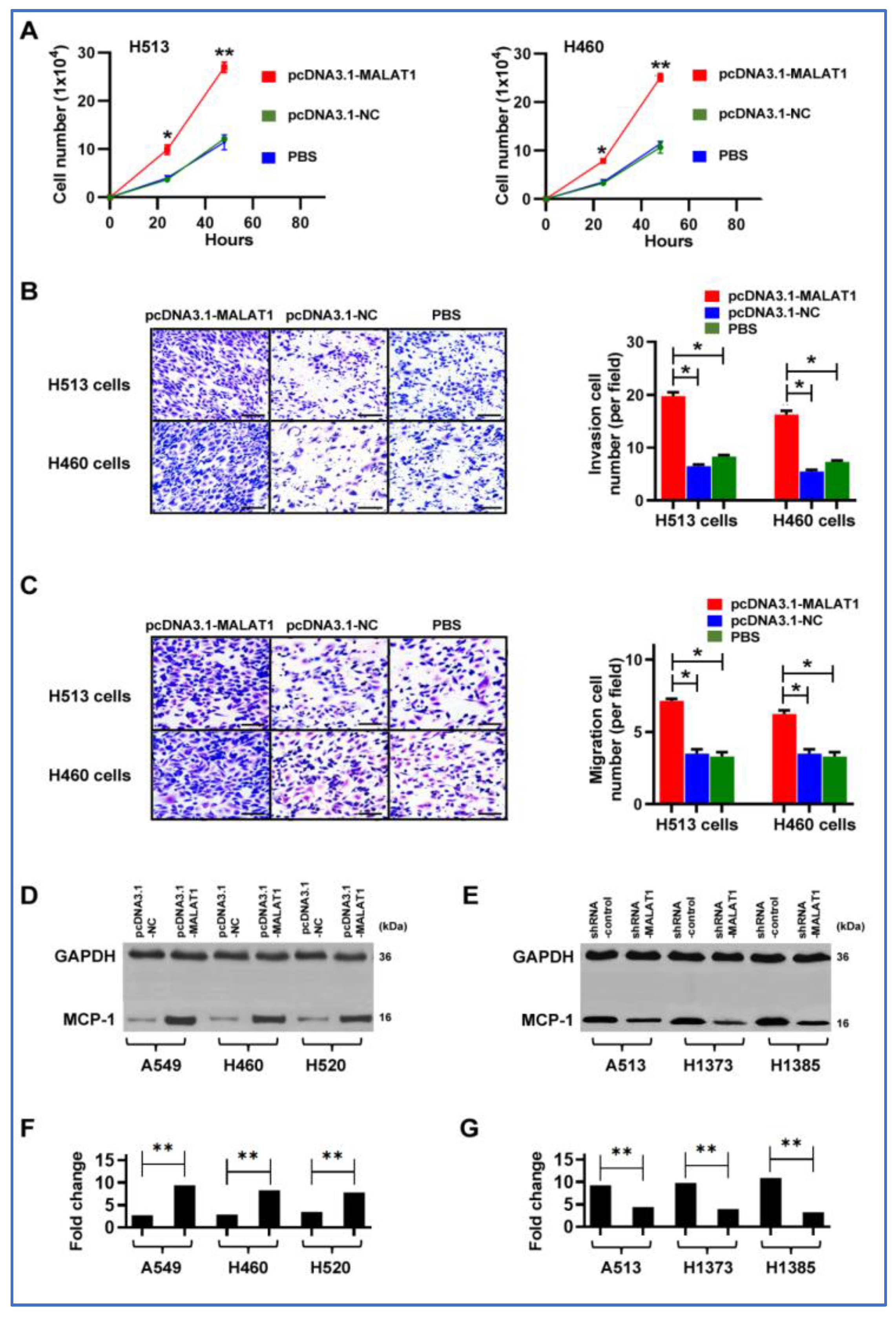 Cancers 16 01876 g005