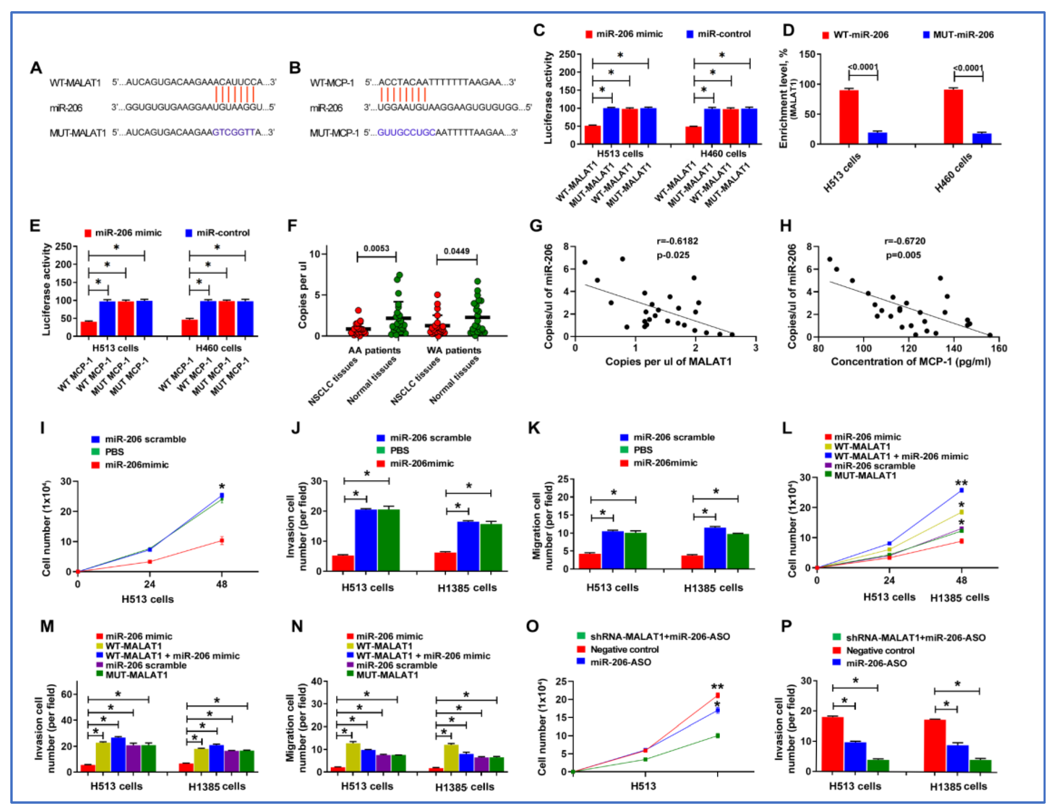 Cancers 16 01876 g006