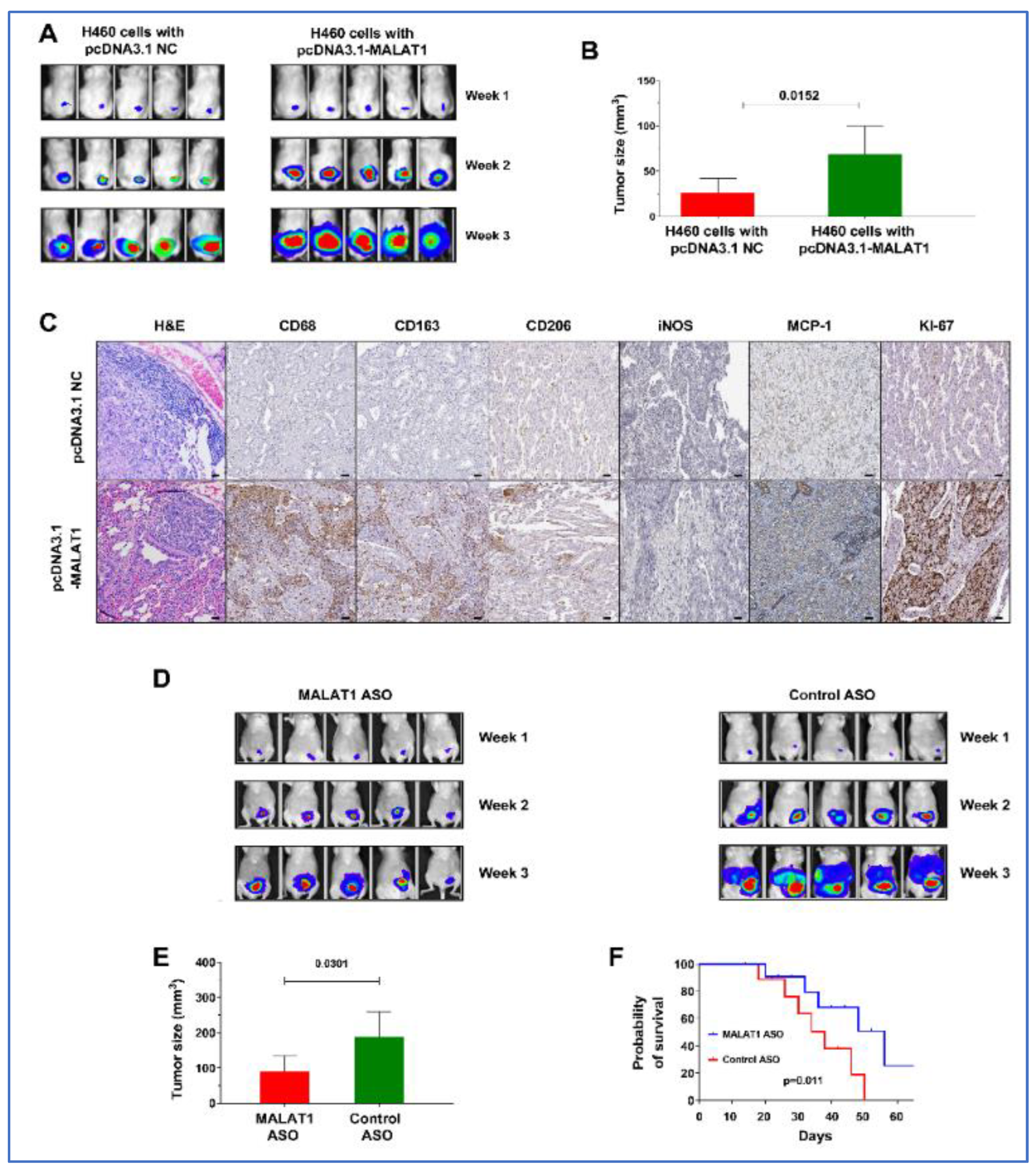 Cancers 16 01876 g007