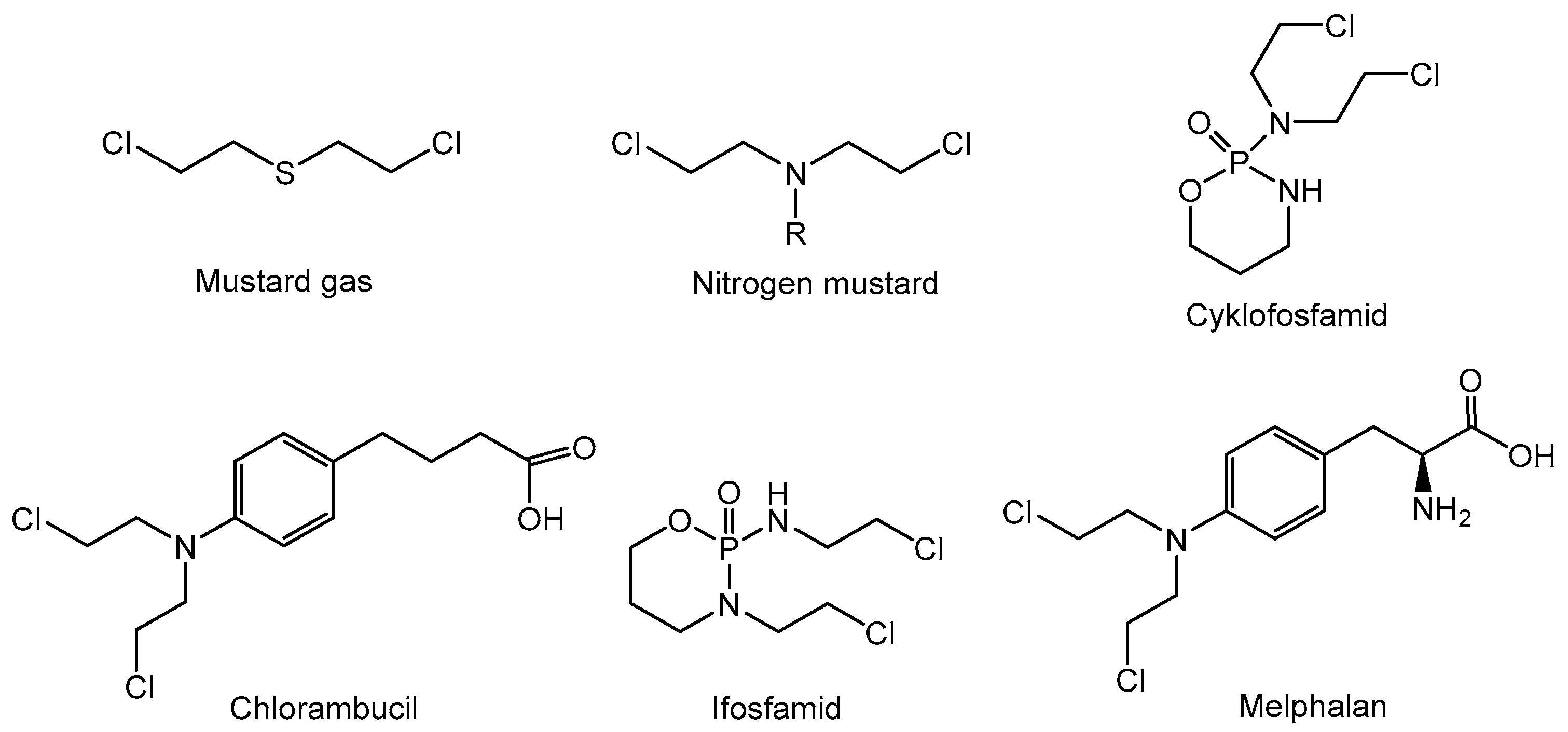 Cancers 16 01878 g002 Cancers 16 01878 g002