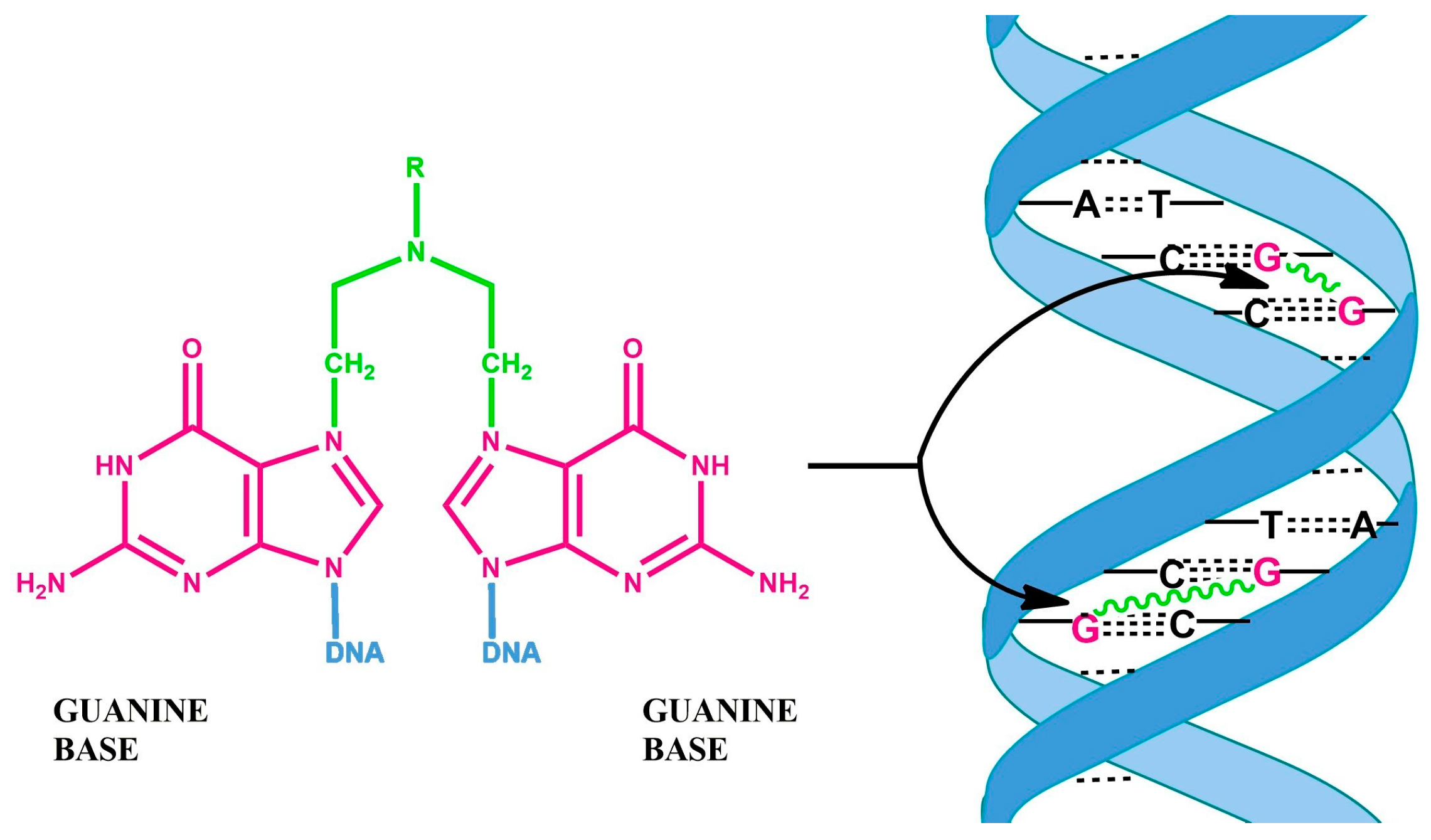 Cancers 16 01878 g003 Cancers 16 01878 g003