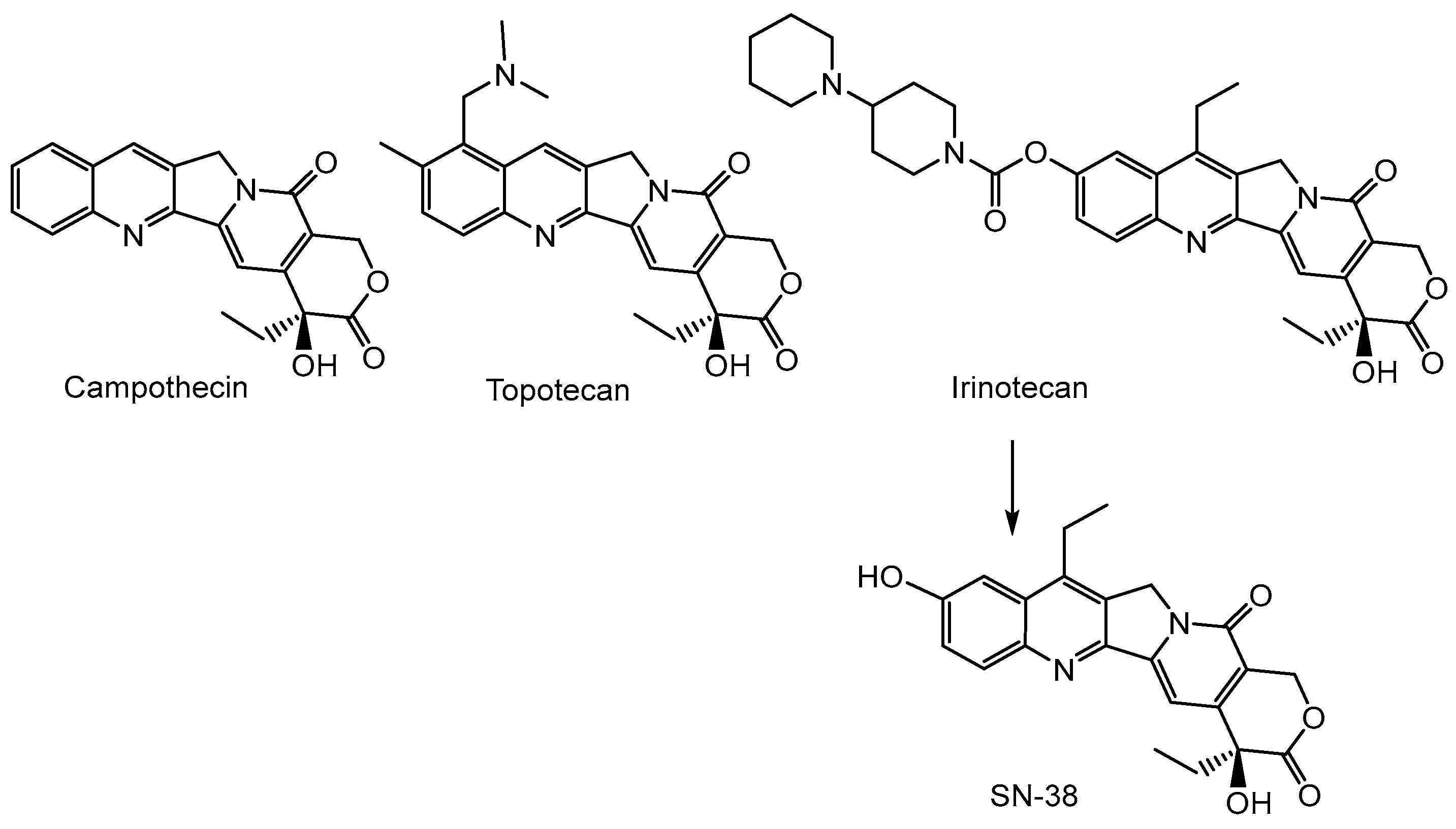 Cancers 16 01878 g008 Cancers 16 01878 g008