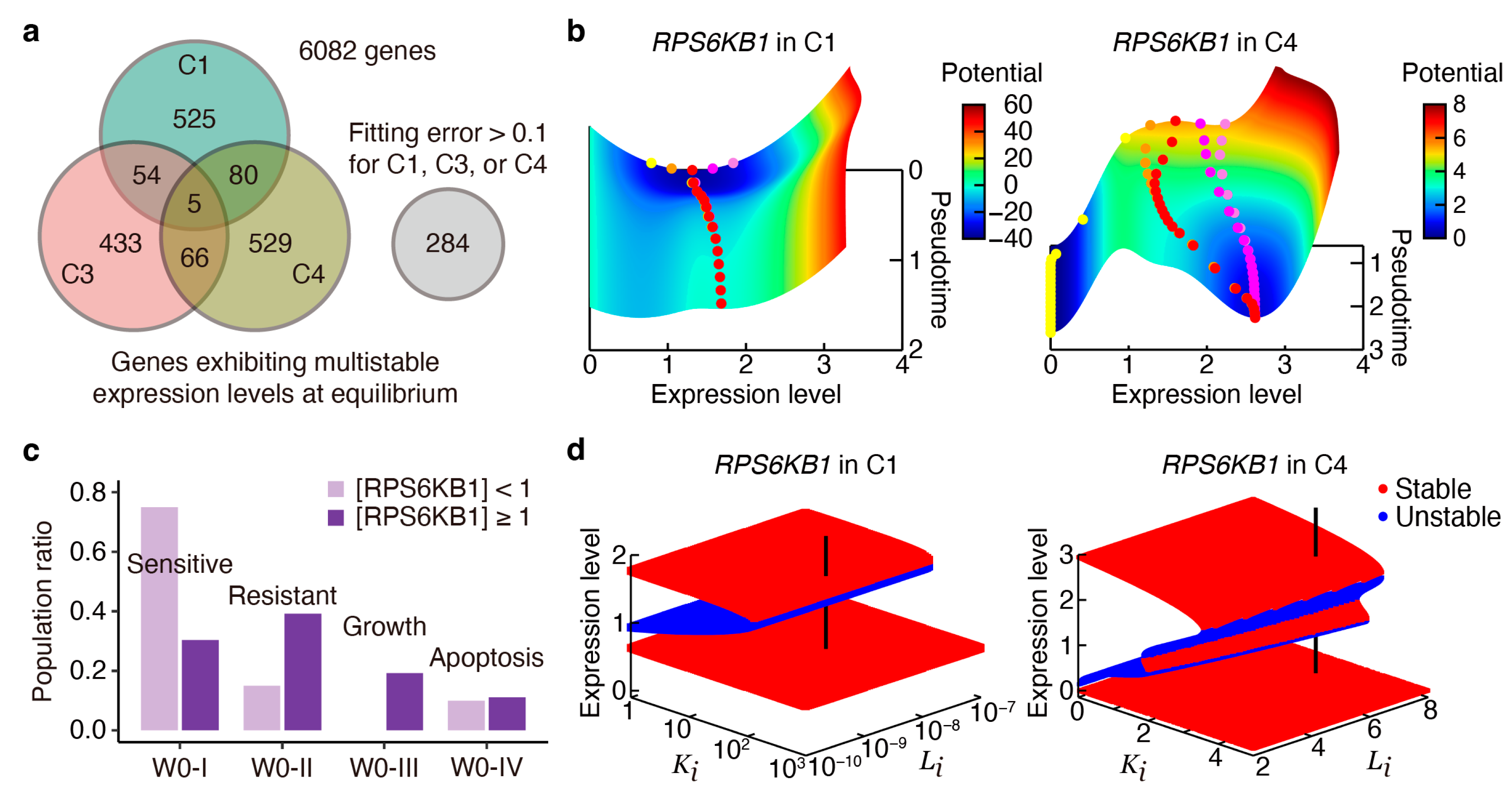 Cancers 16 01884 g004