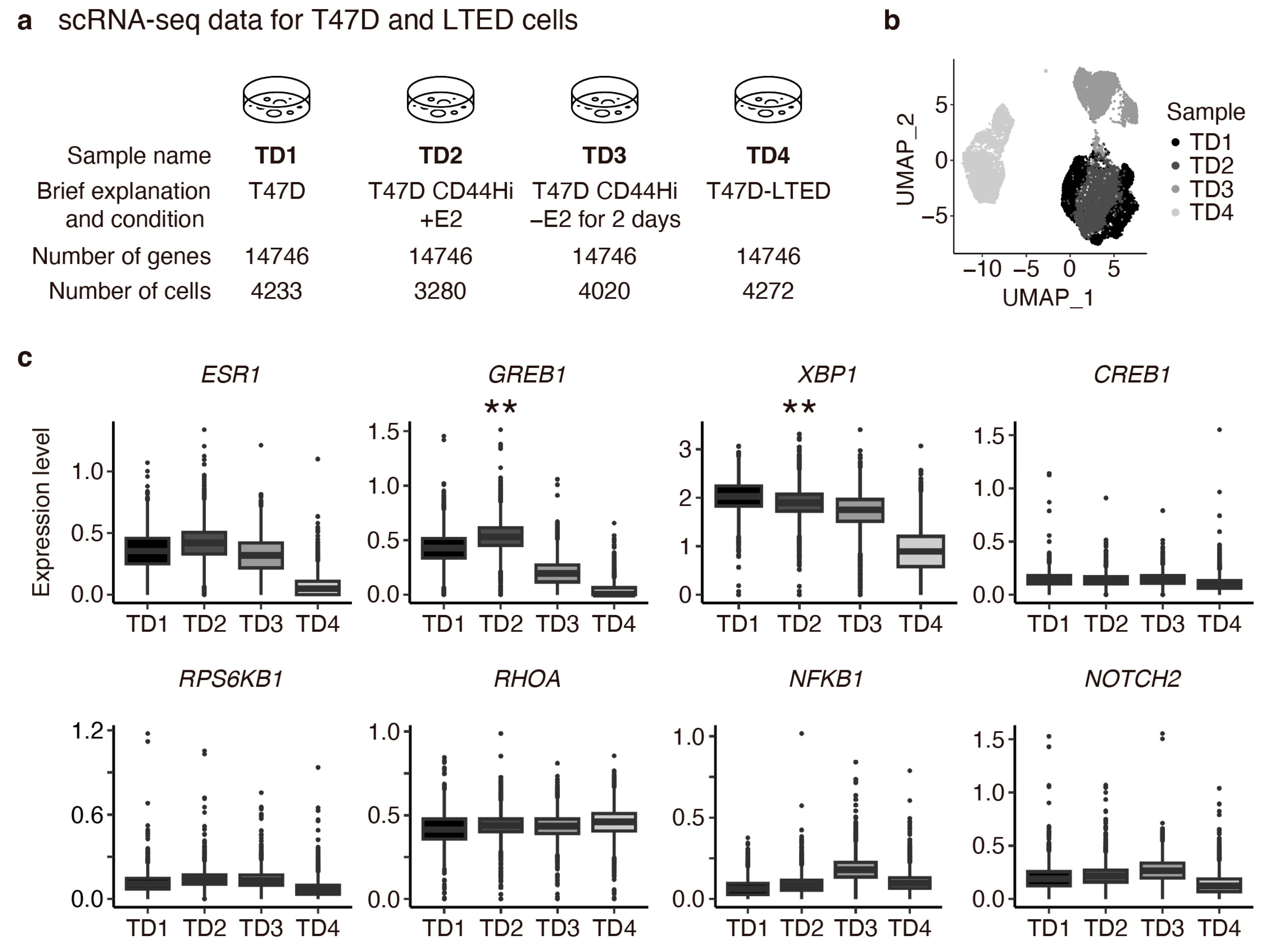 Cancers 16 01884 g0a2