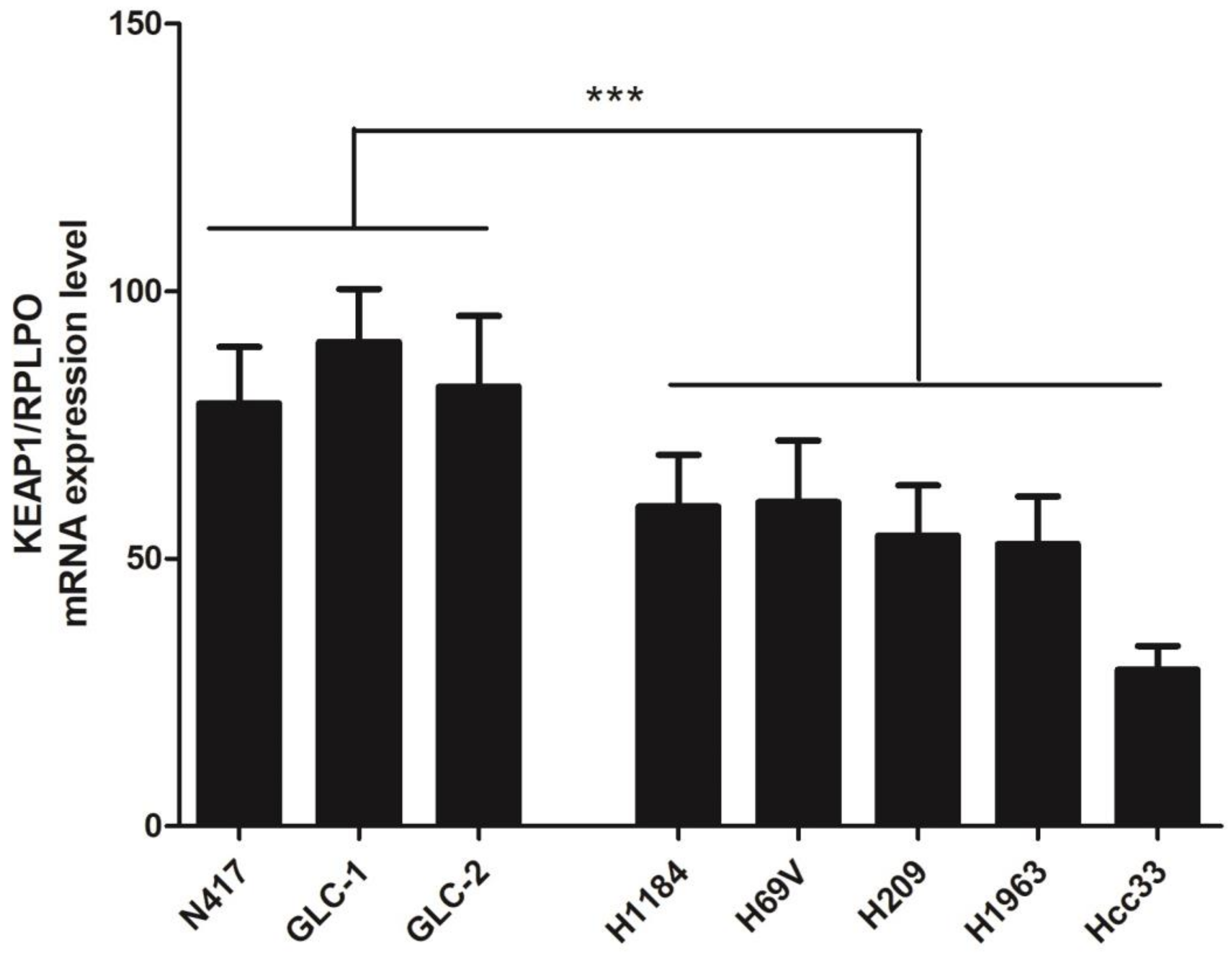 Cancers 16 01885 g001