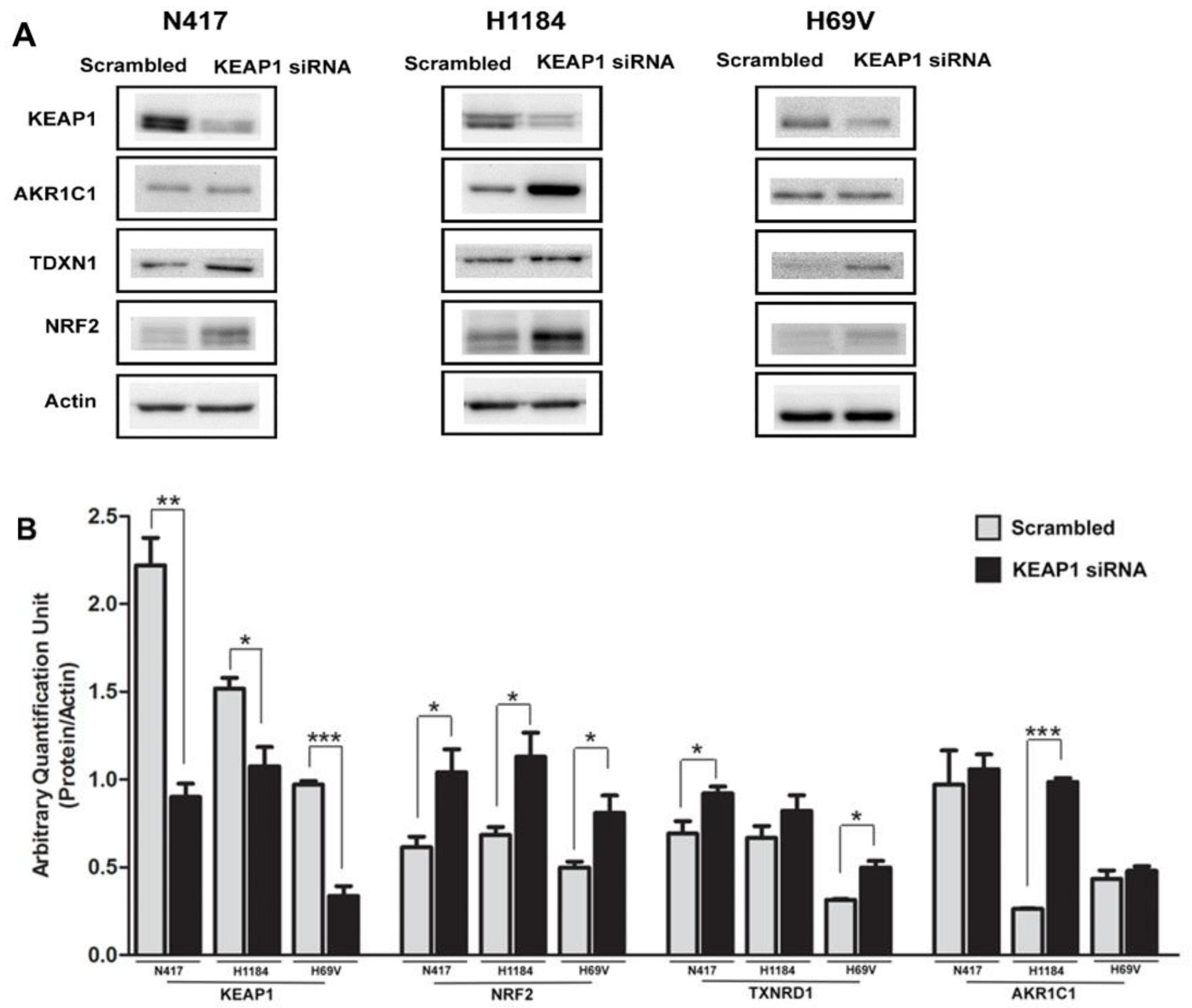 Cancers 16 01885 g006