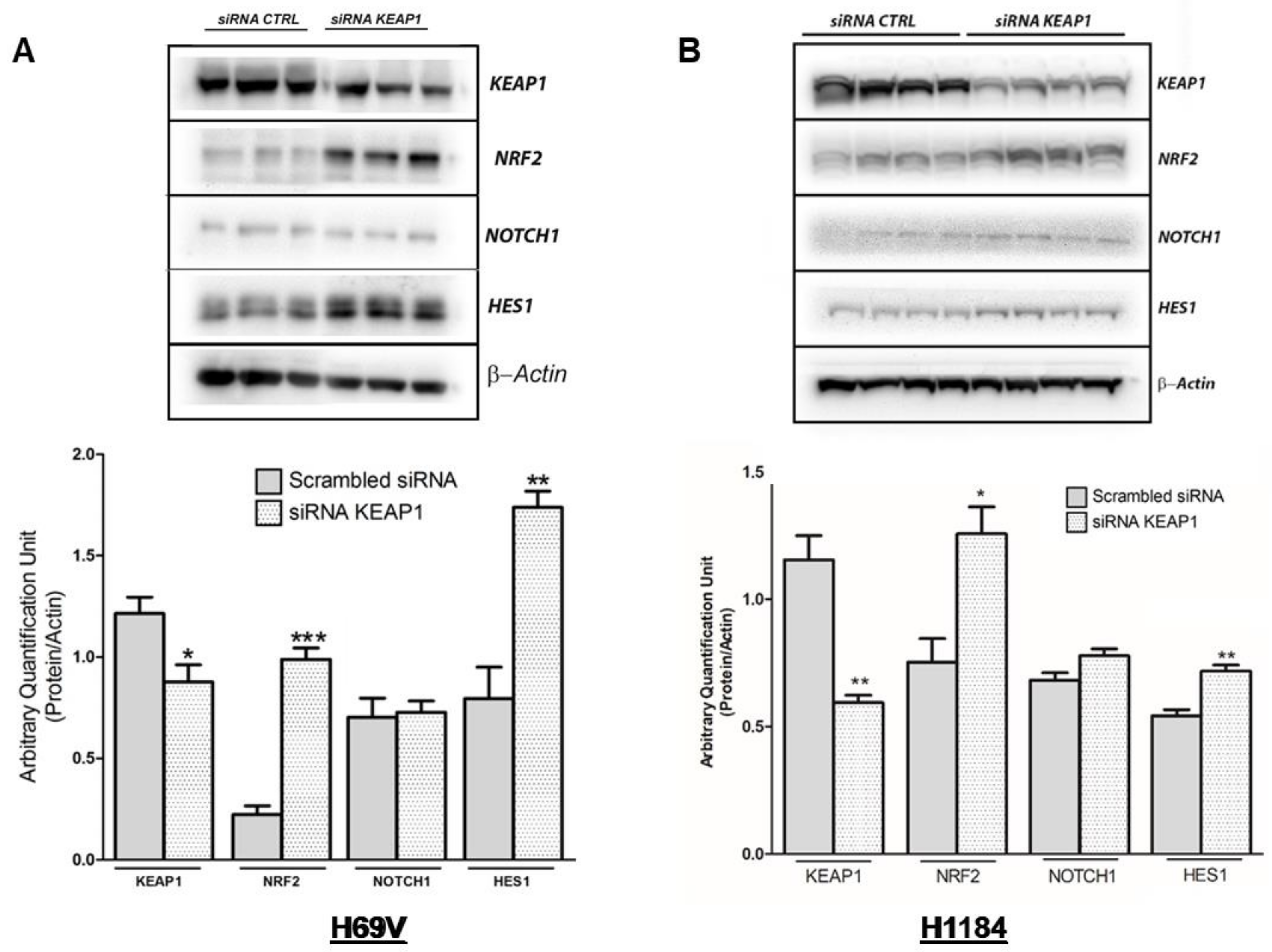 Cancers 16 01885 g008