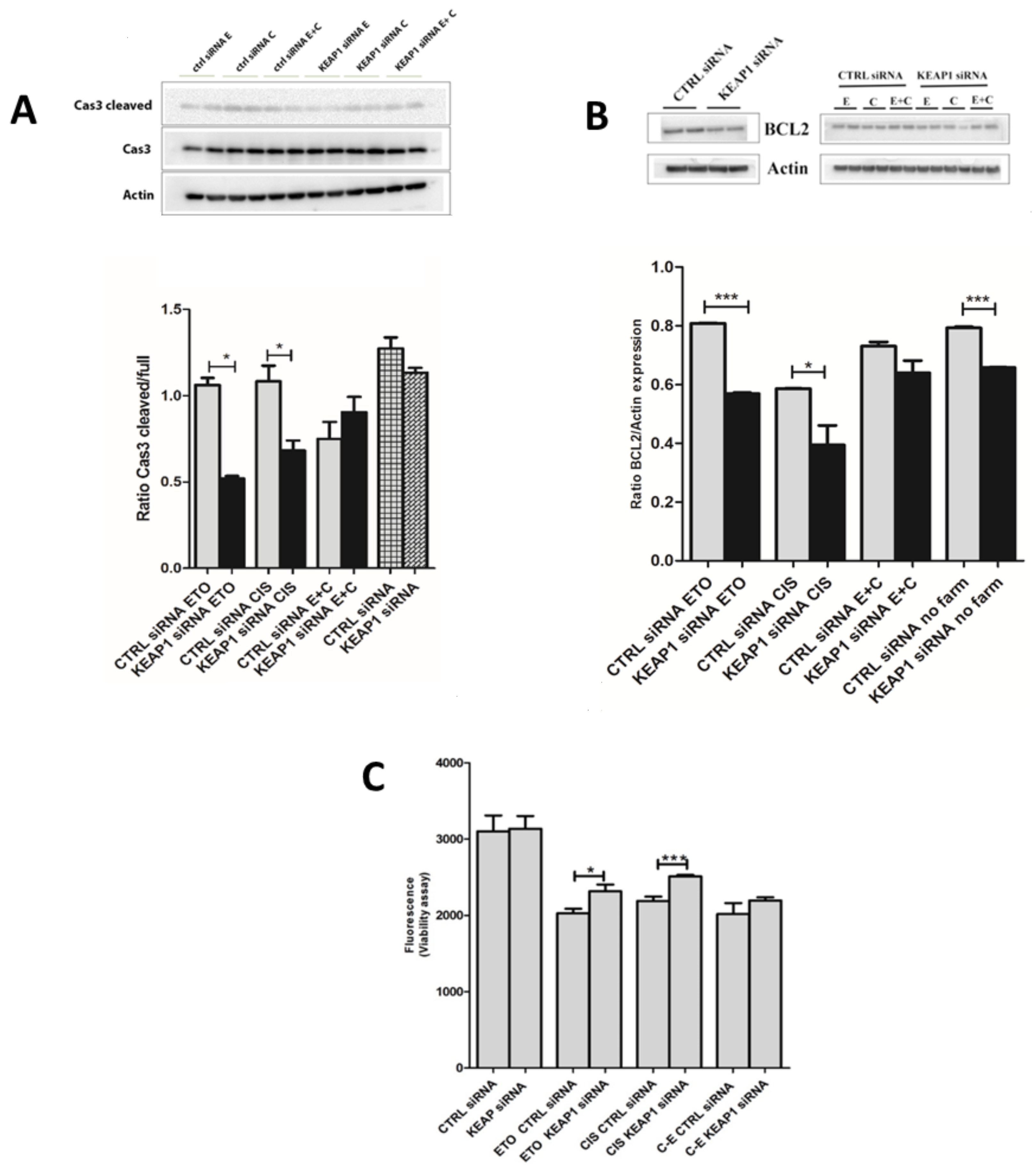 Cancers 16 01885 g009
