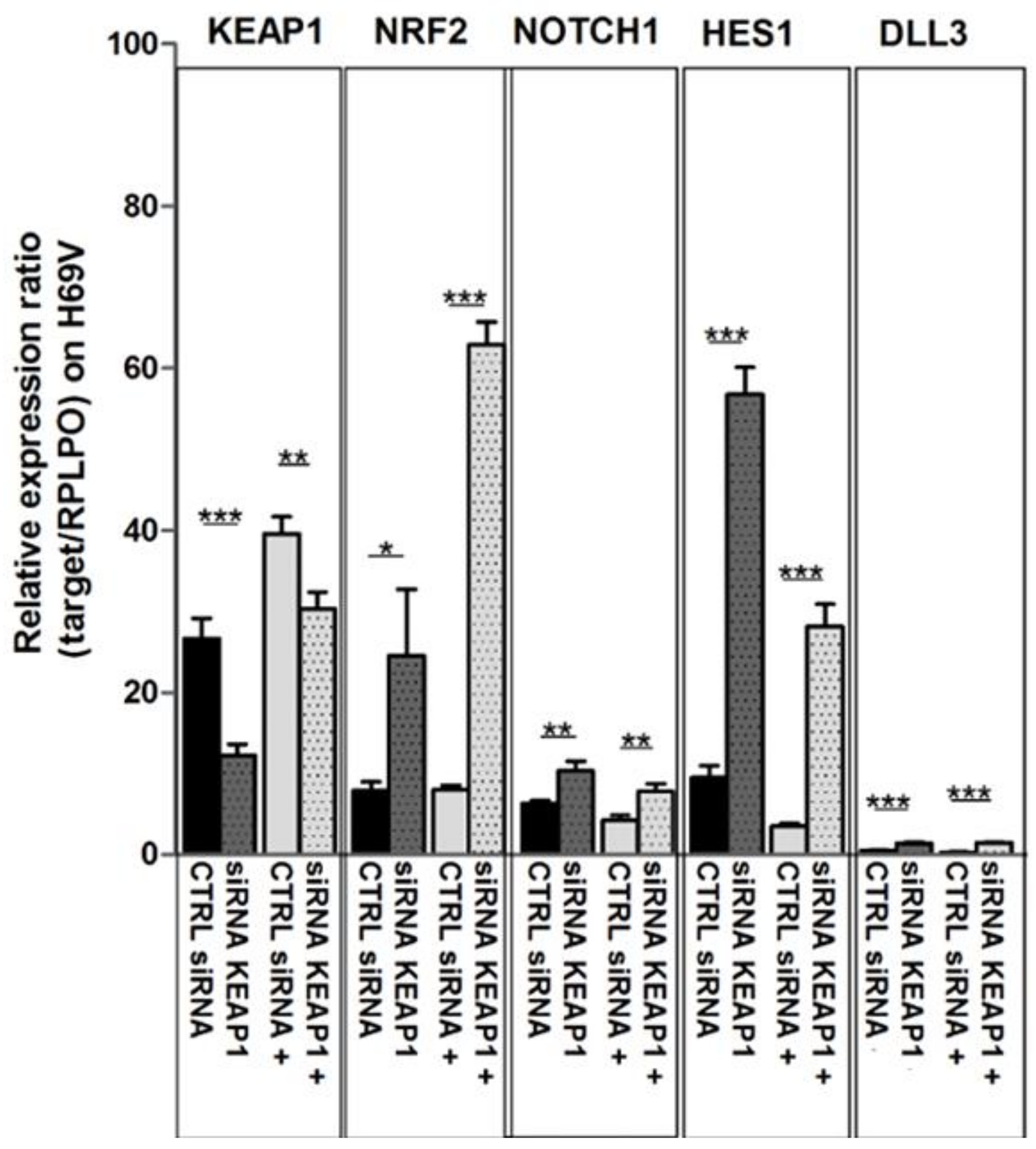Cancers 16 01885 g010