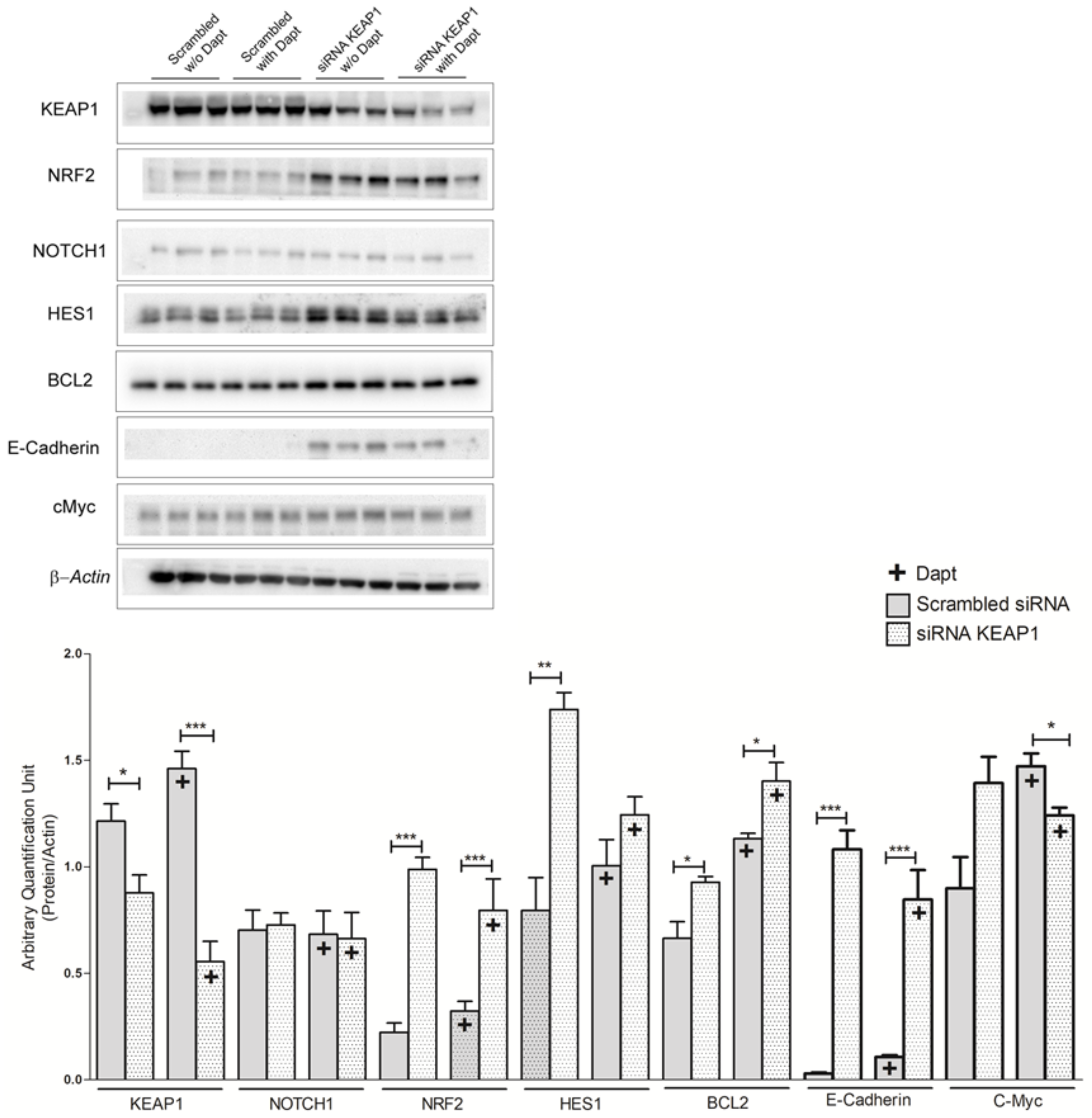 Cancers 16 01885 g011