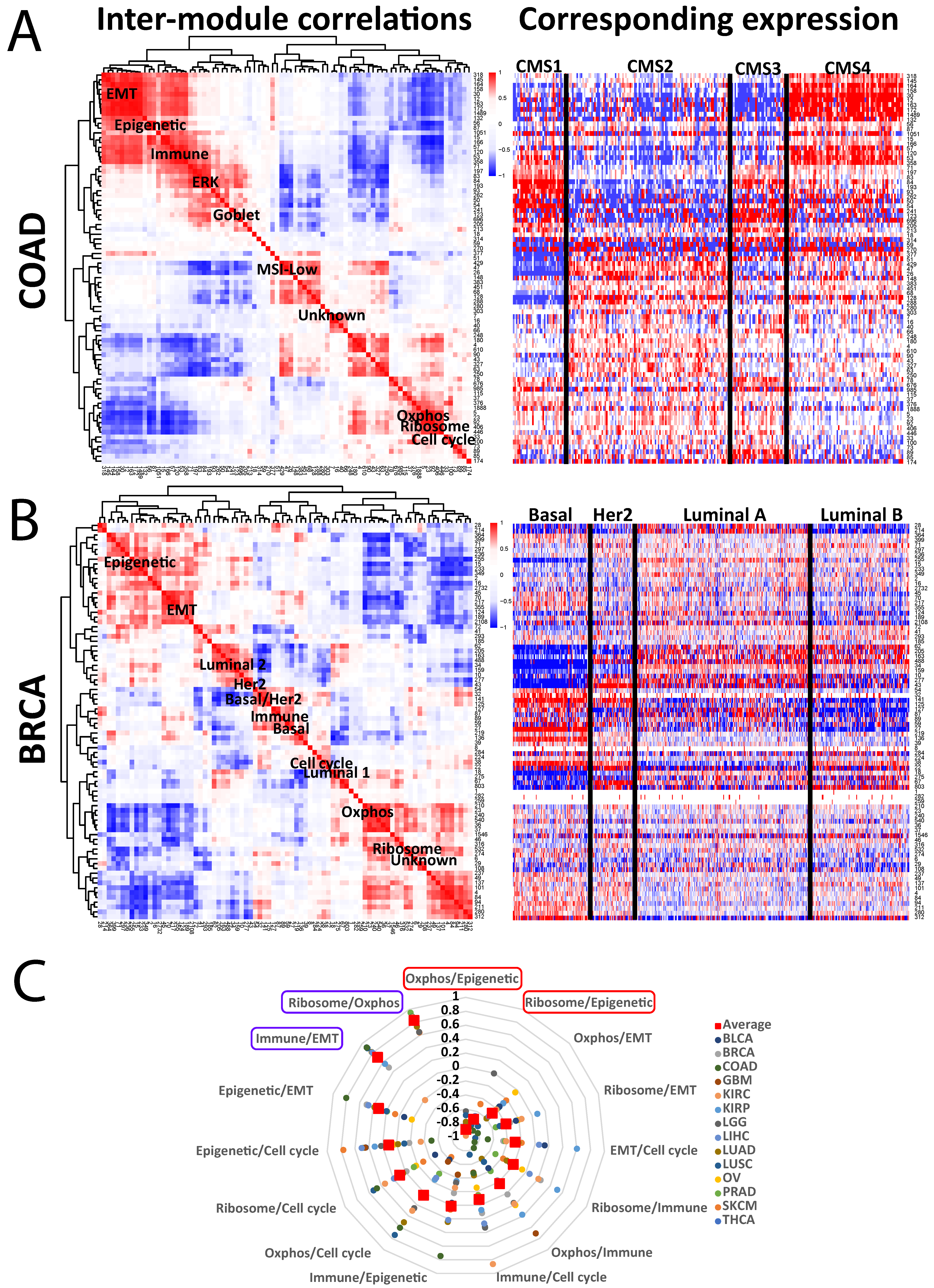 Cancers 16 01886 g002