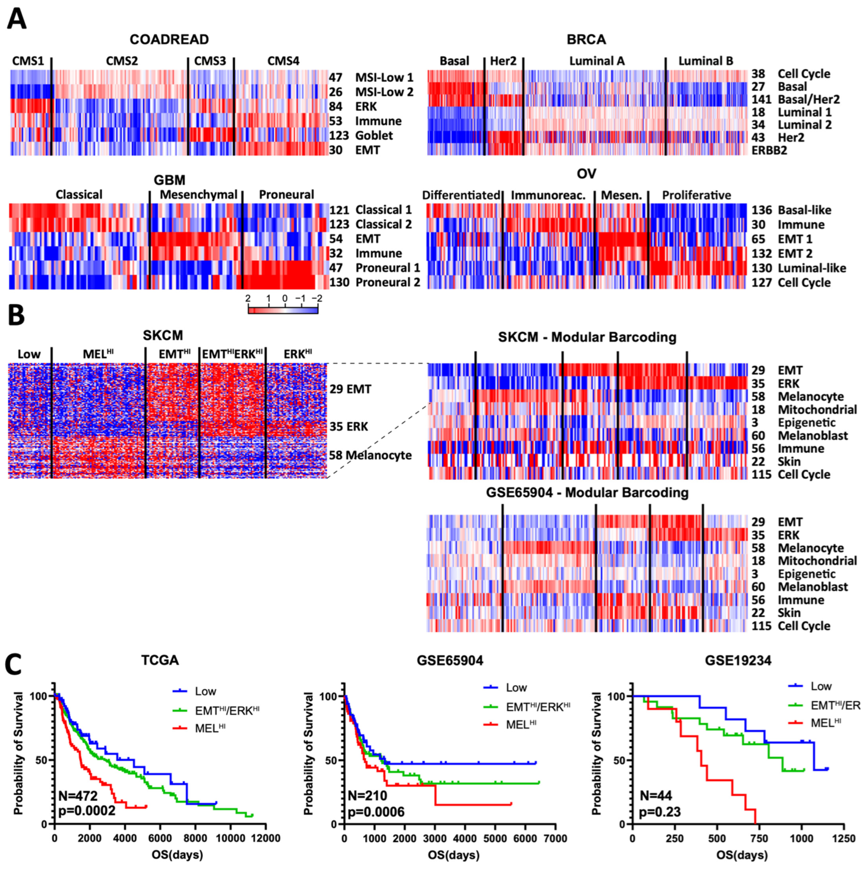 Cancers 16 01886 g004