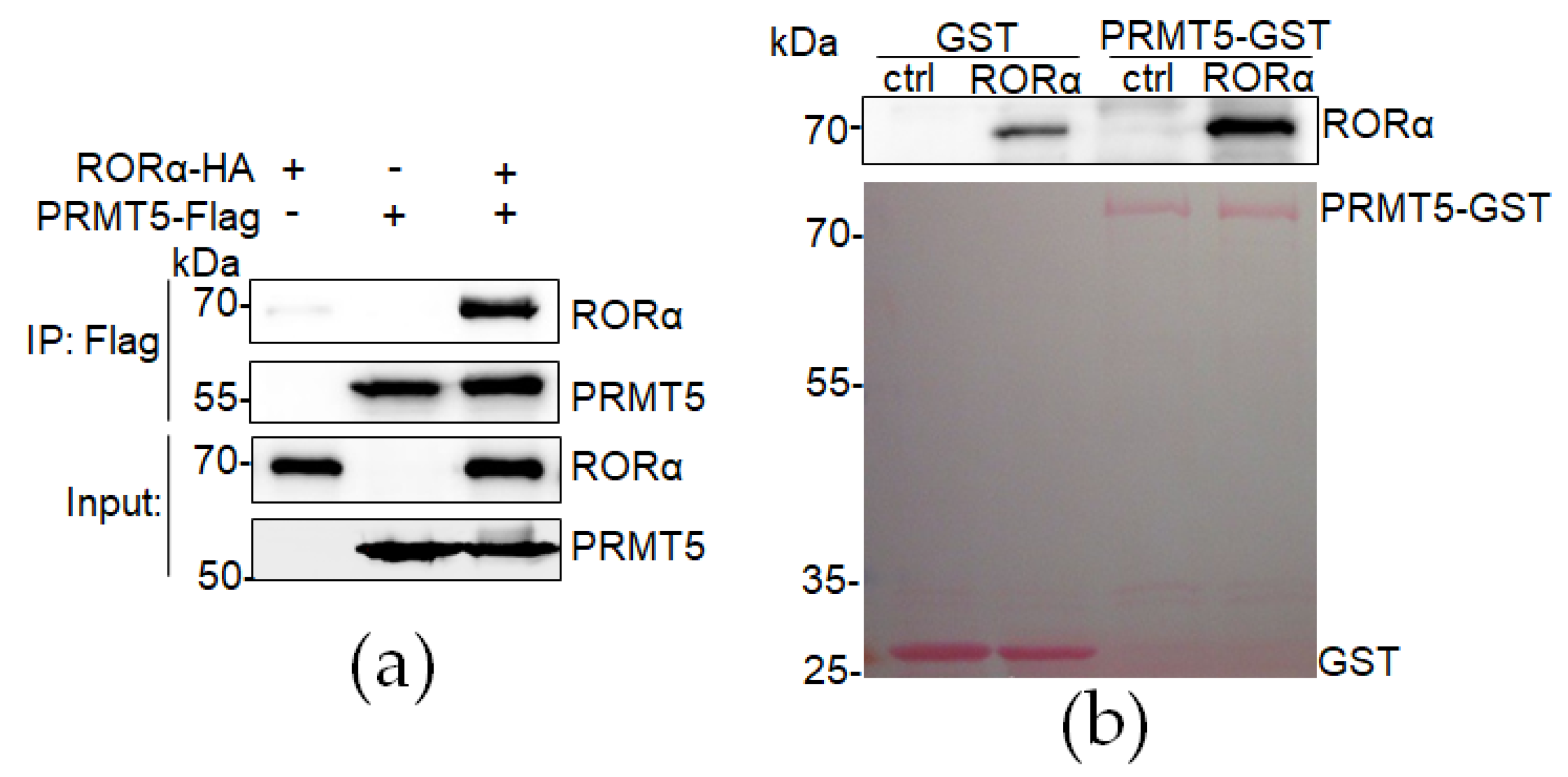Cancers 16 01914 g001
