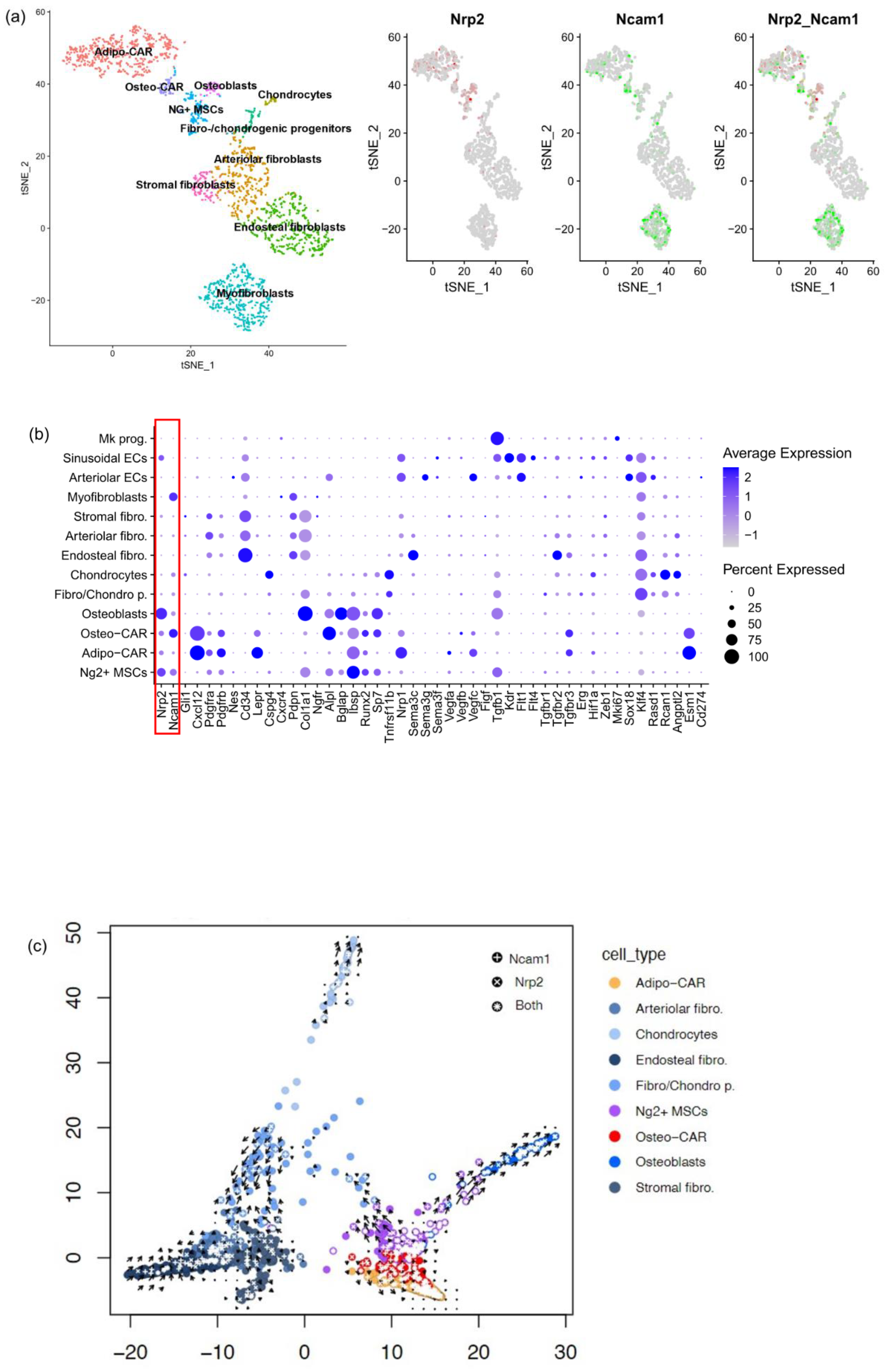 Cancers 16 01924 g003