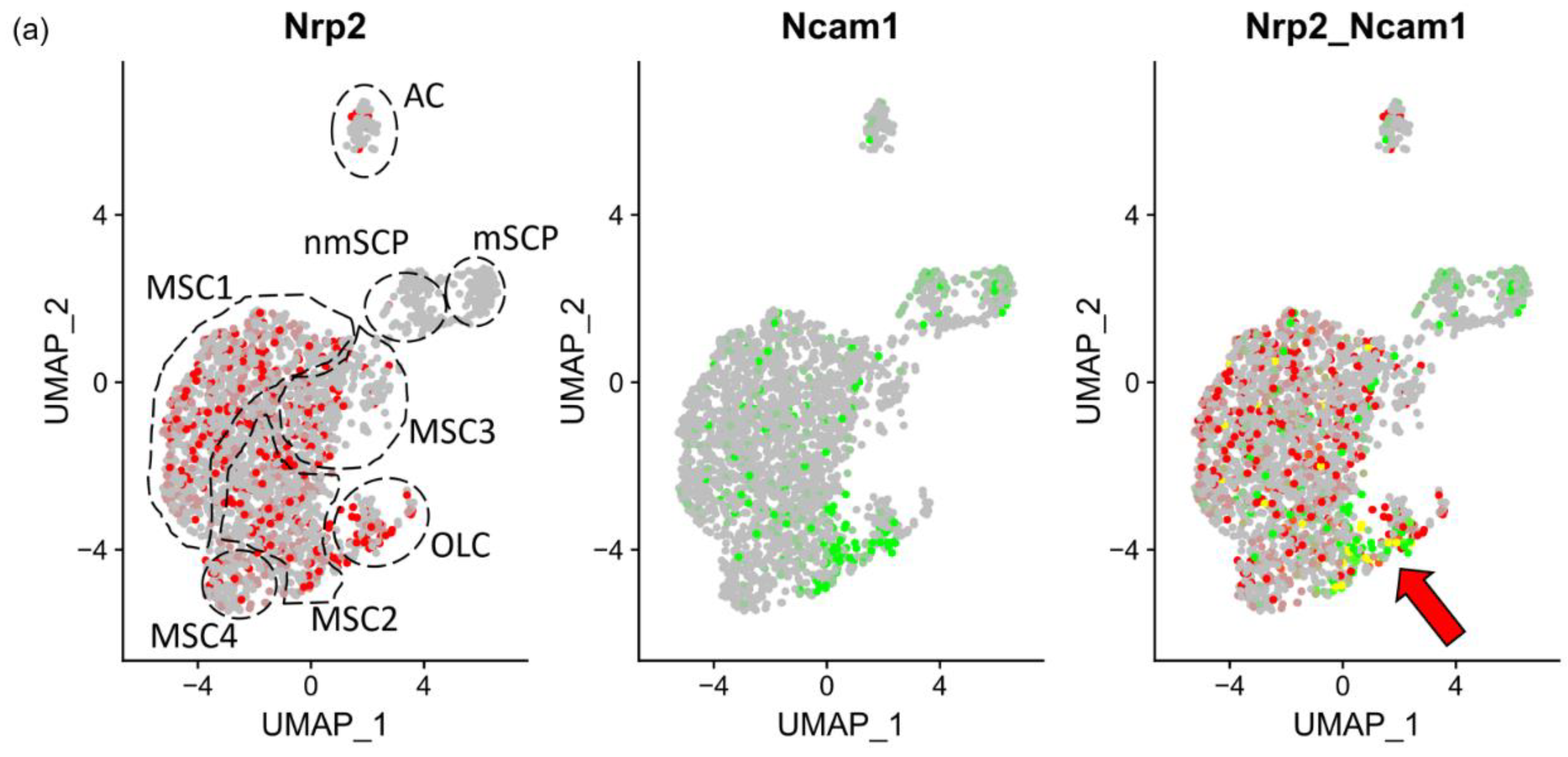 Cancers 16 01924 g004a