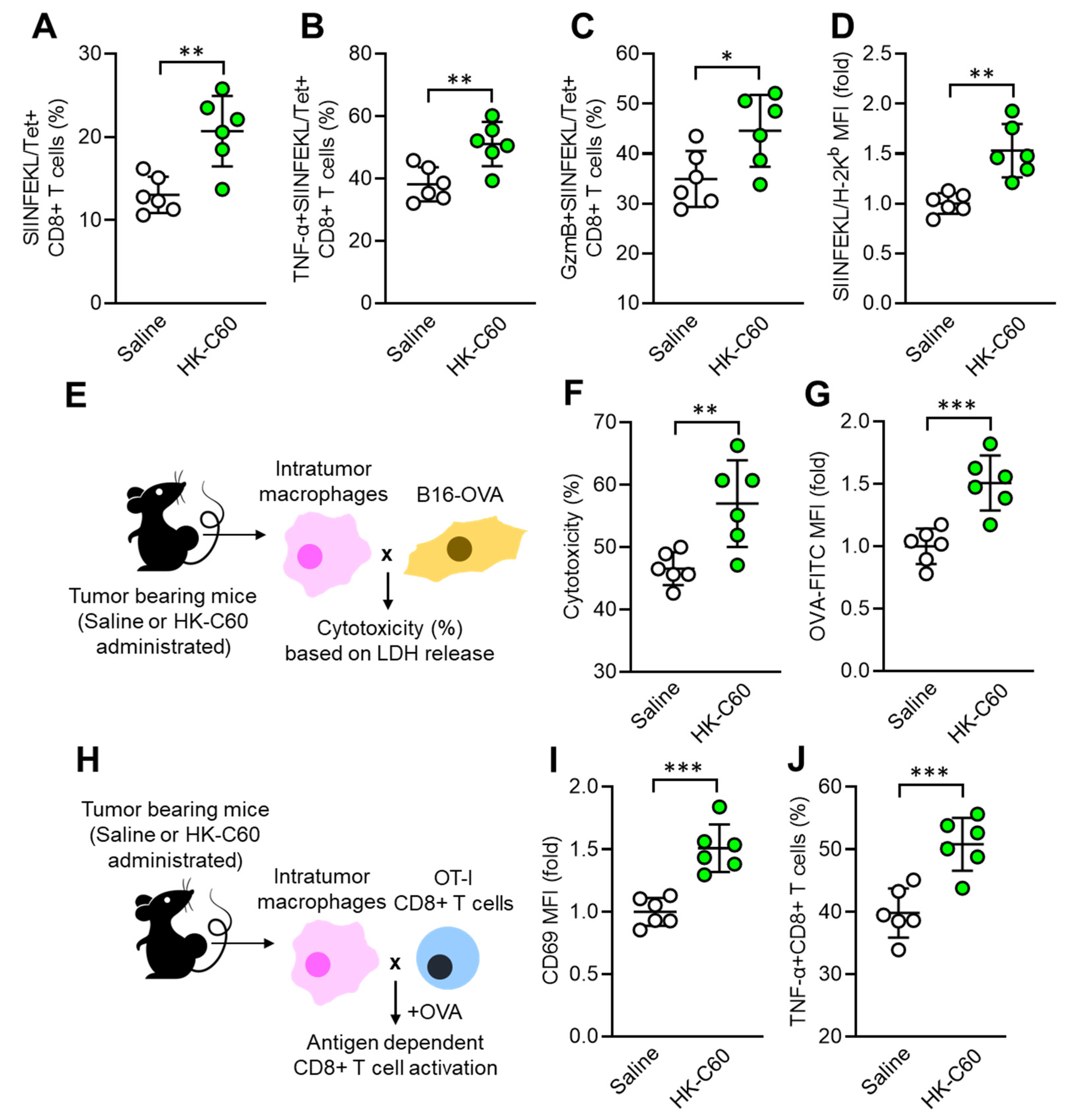 Cancers 16 01928 g002