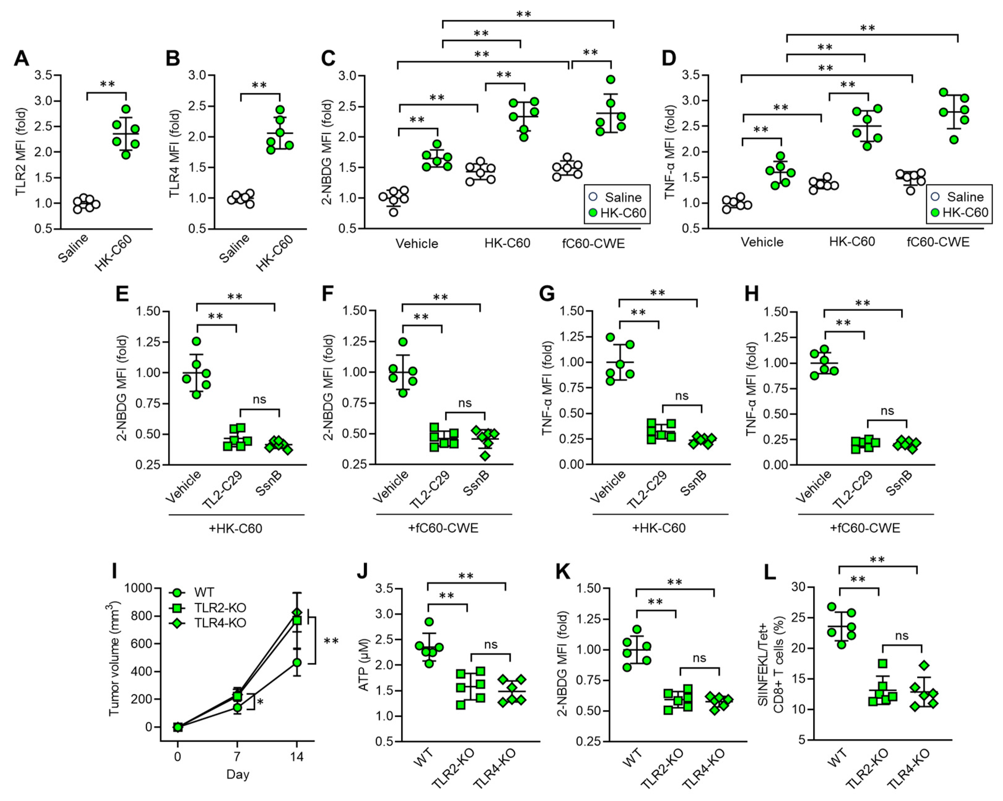 Cancers 16 01928 g005