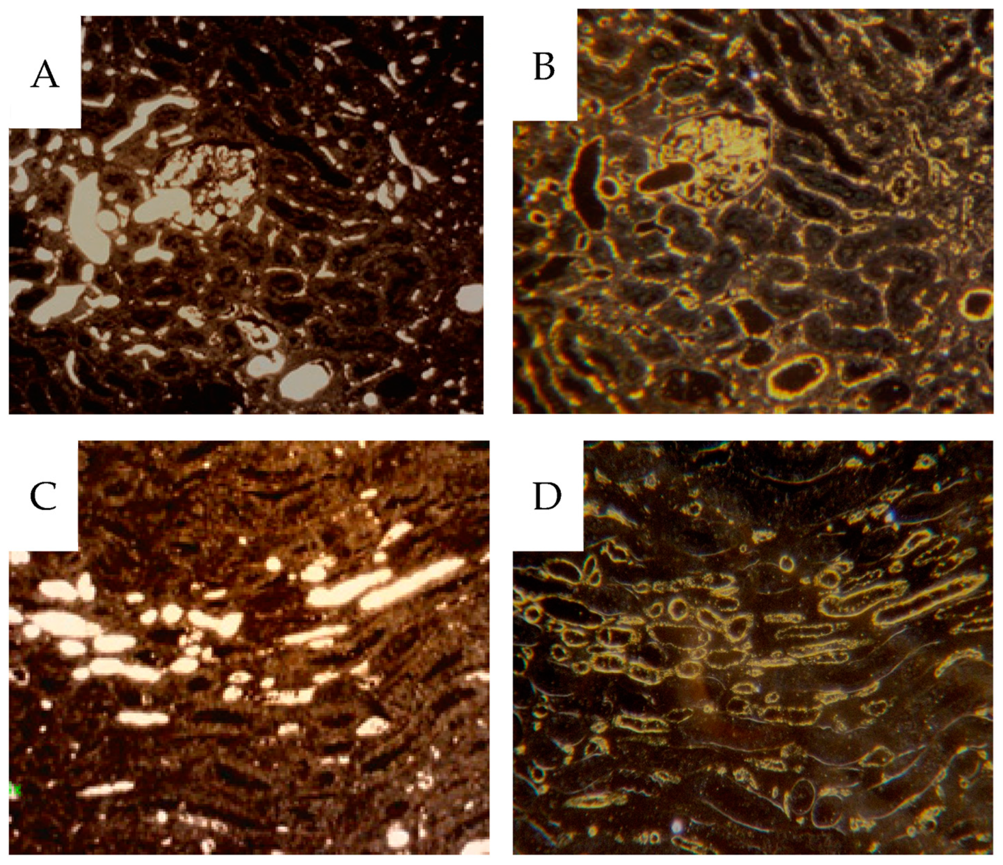 Cancers 16 01939 g006