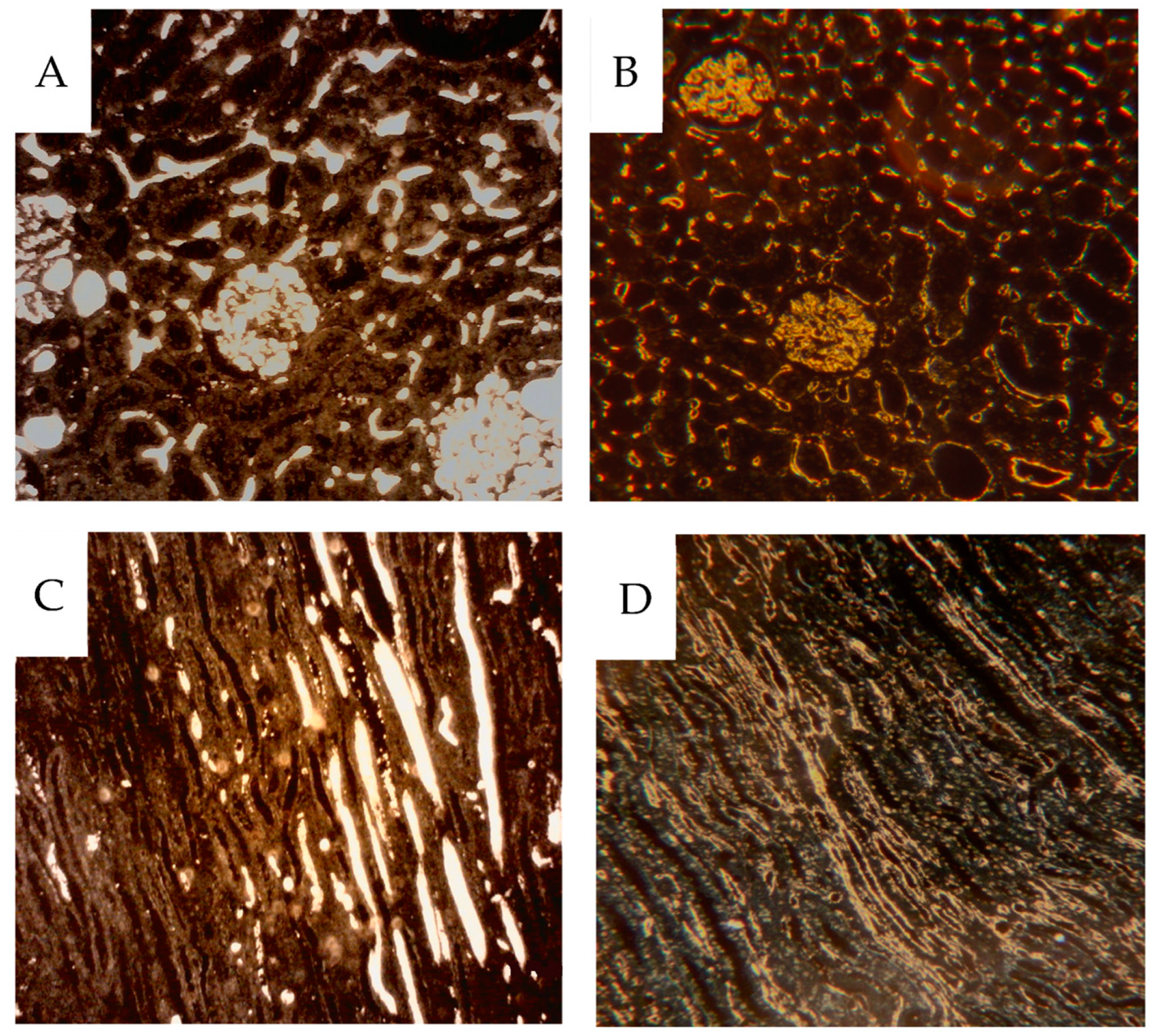 Cancers 16 01939 g009