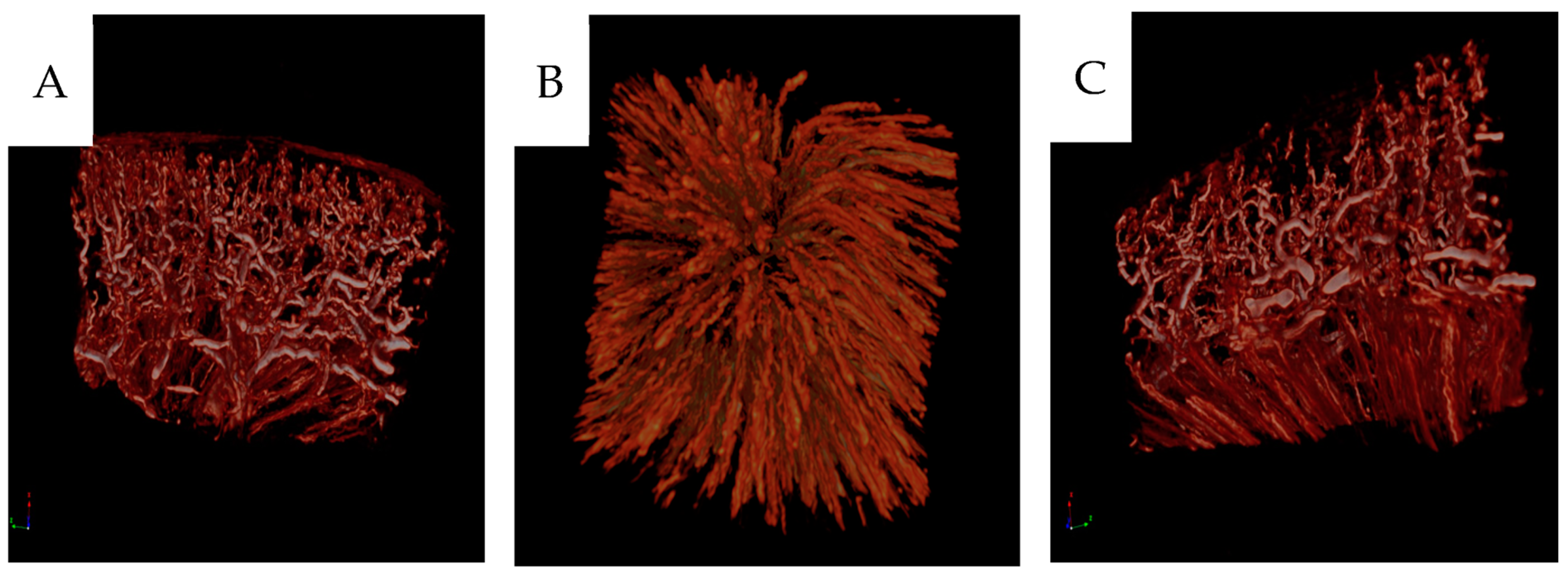 Cancers 16 01939 g010