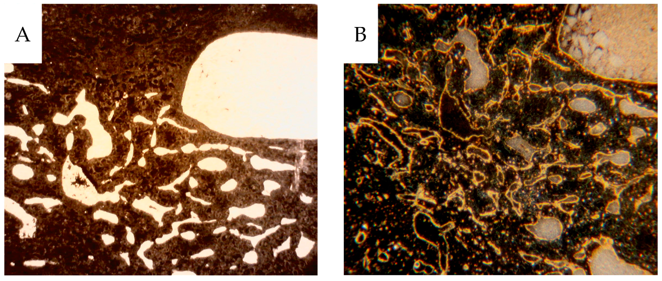 Cancers 16 01939 g012