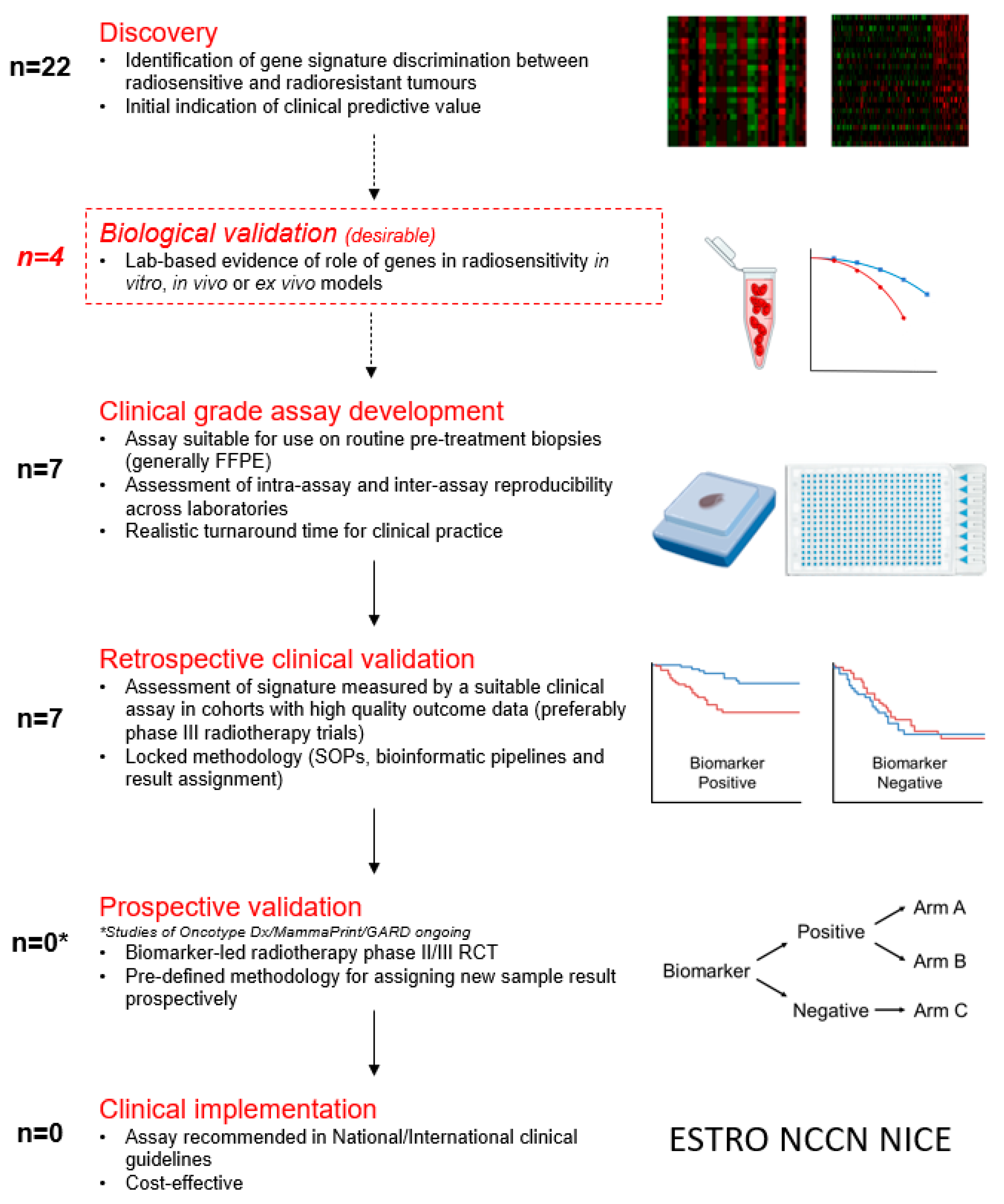 Cancers 16 01942 g002 Cancers 16 01942 g002