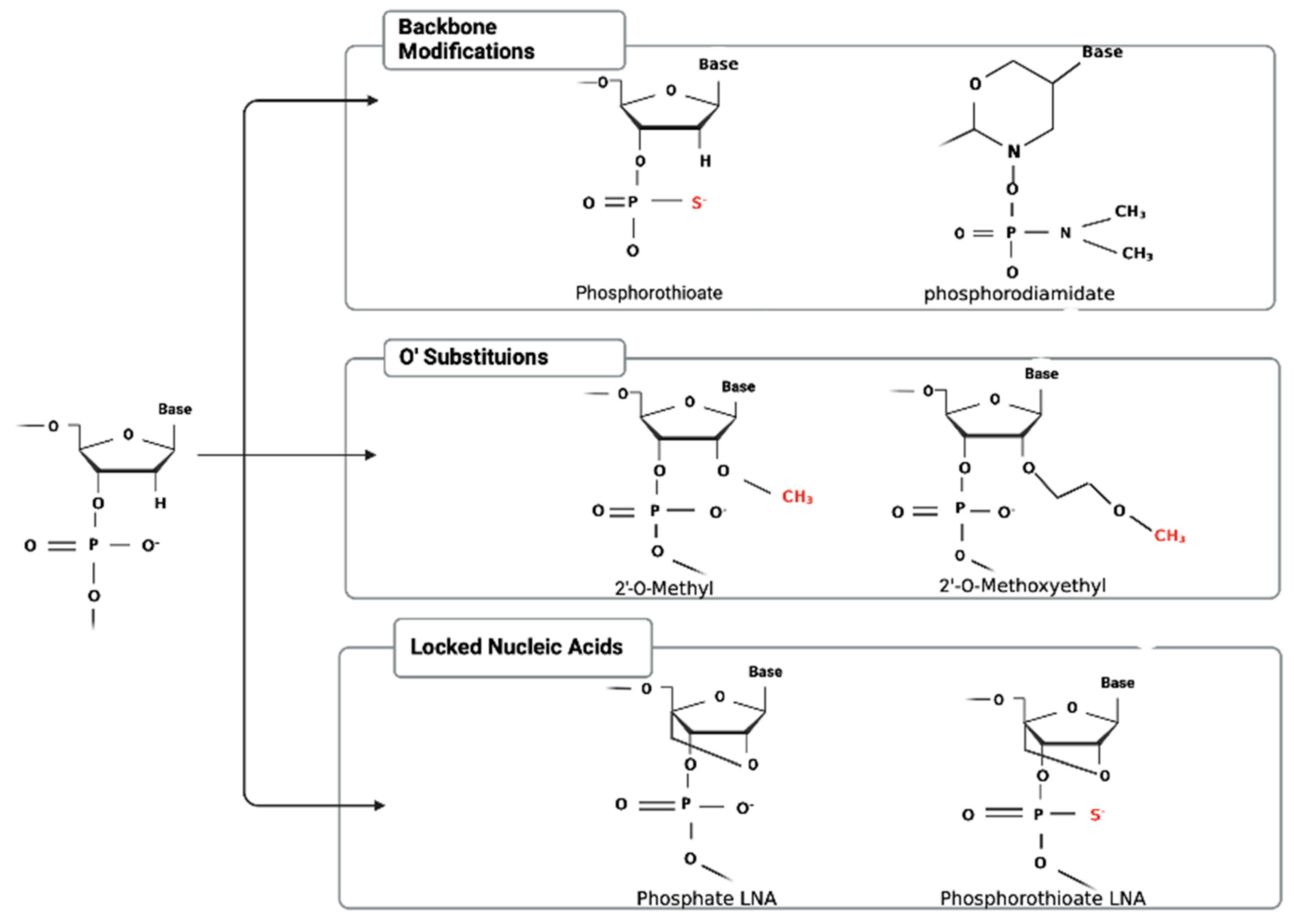 Cancers 16 01944 g002