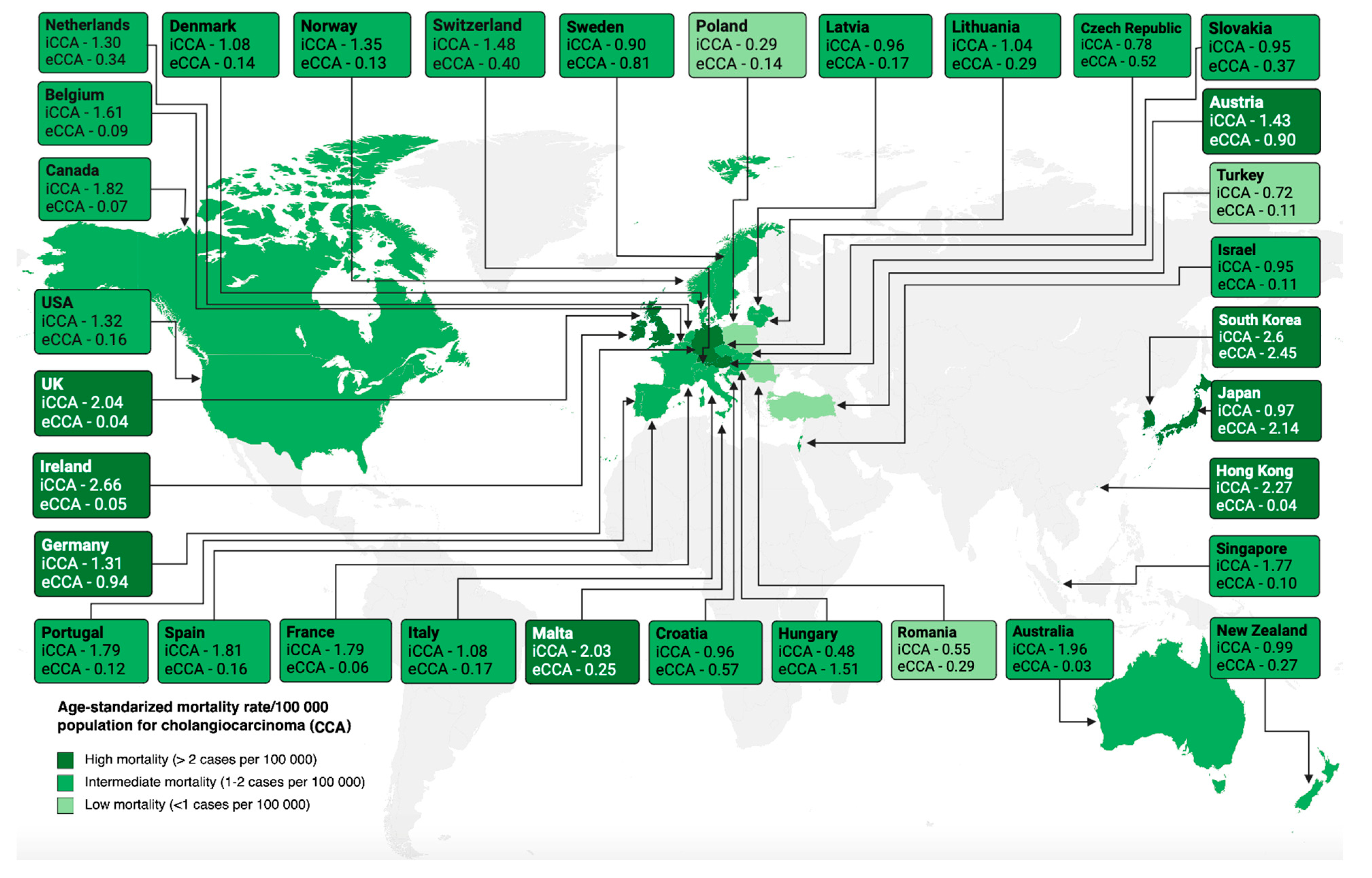 Cancers 16 01946 g001 Cancers 16 01946 g001