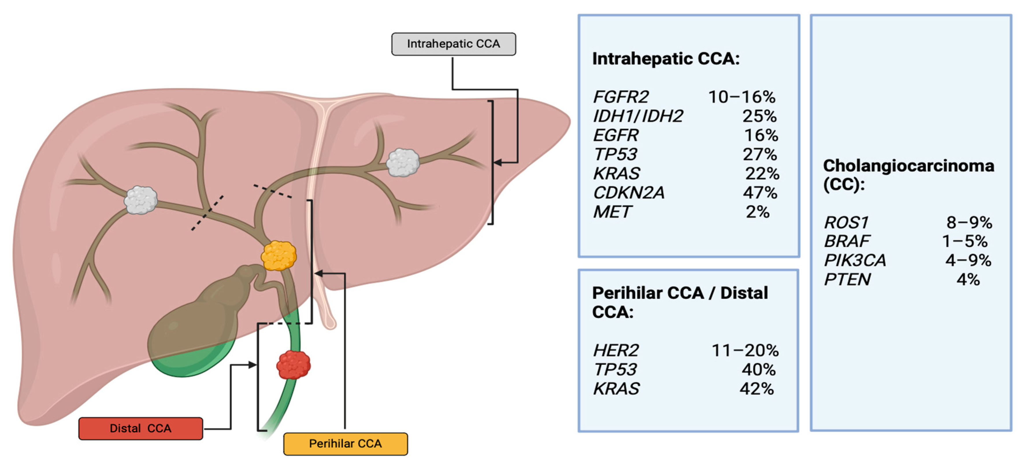 Cancers 16 01946 g002 Cancers 16 01946 g002