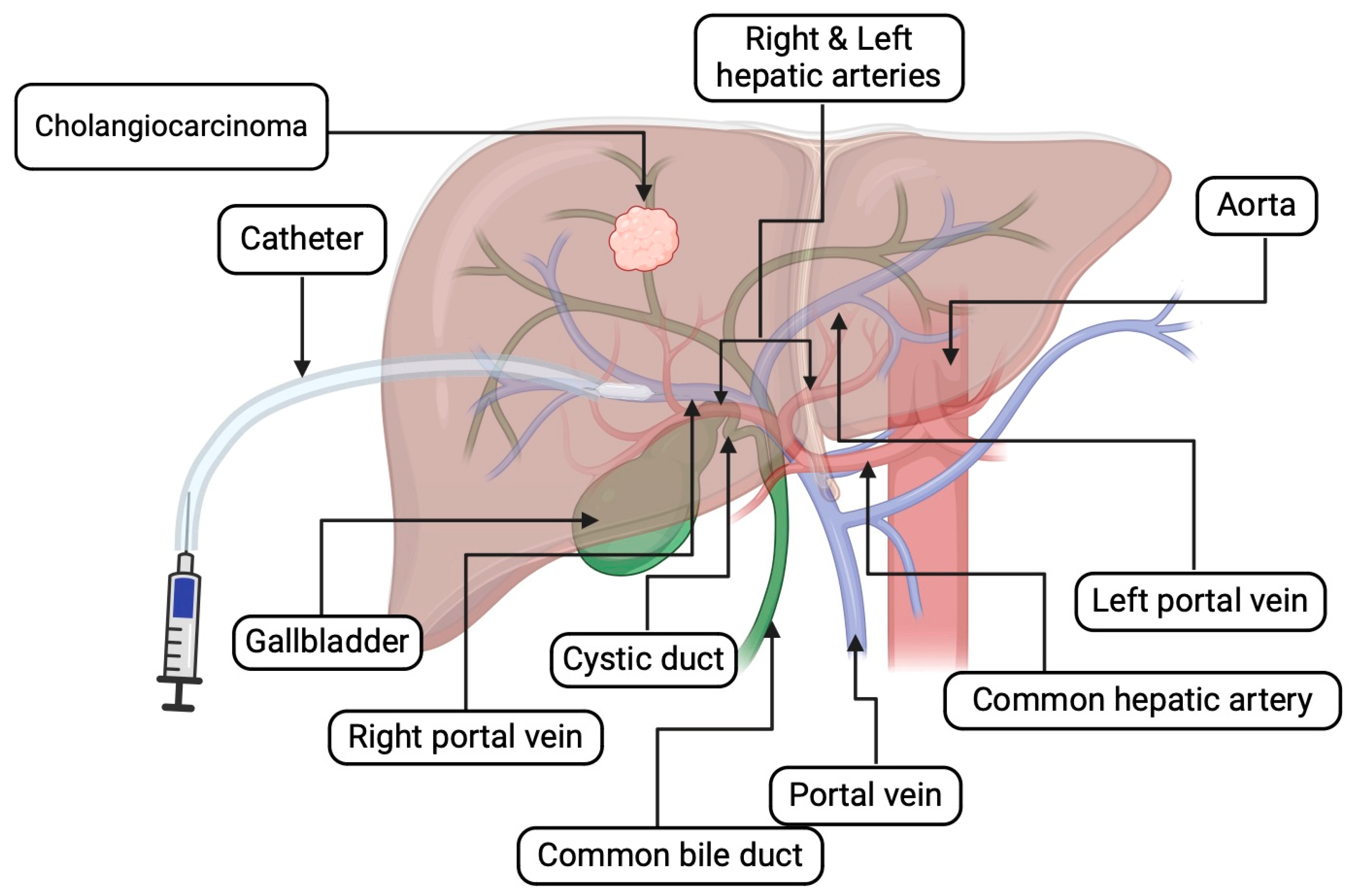 Cancers 16 01946 g003 Cancers 16 01946 g003