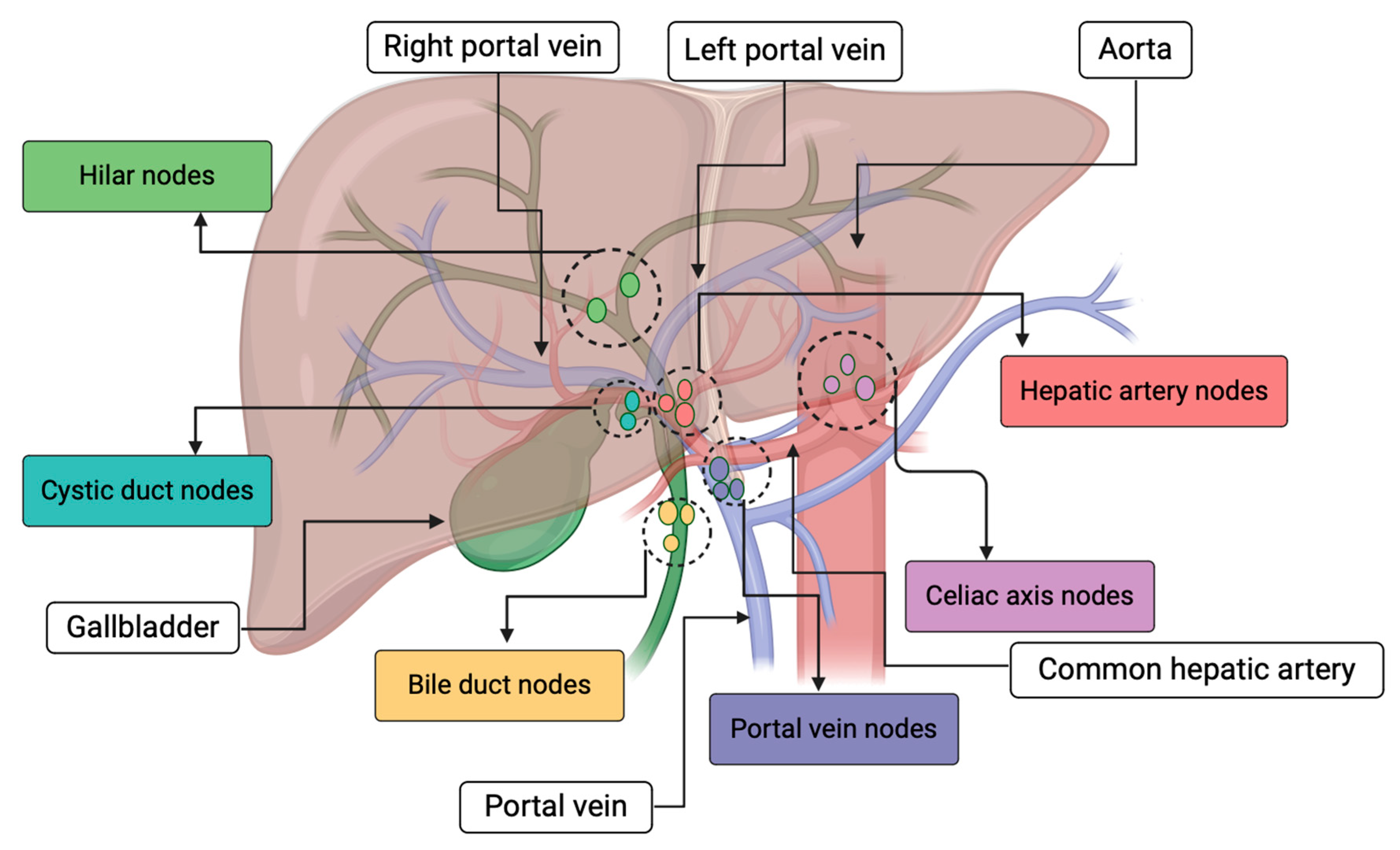 Cancers 16 01946 g004 Cancers 16 01946 g004