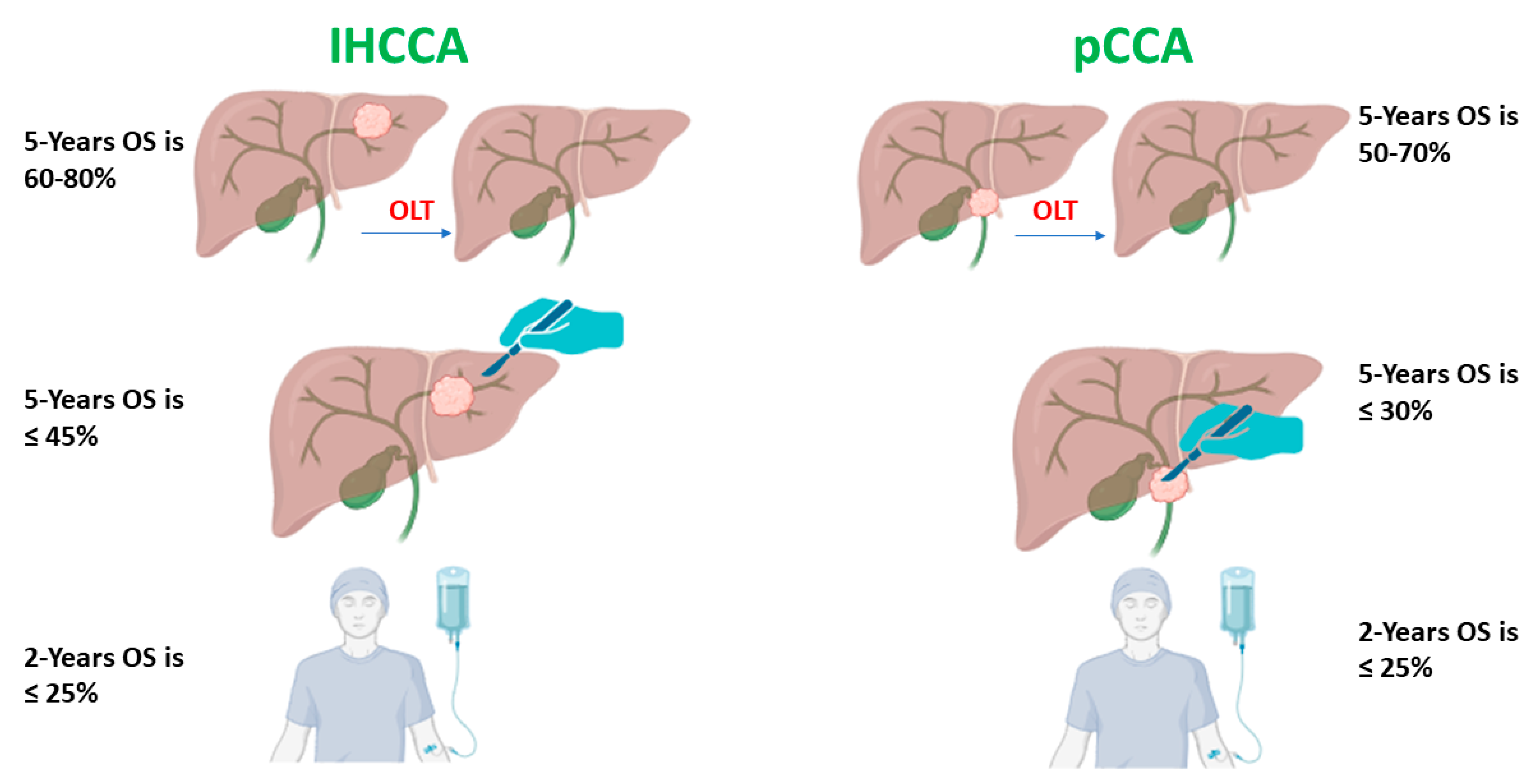 Cancers 16 01946 g005 Cancers 16 01946 g005