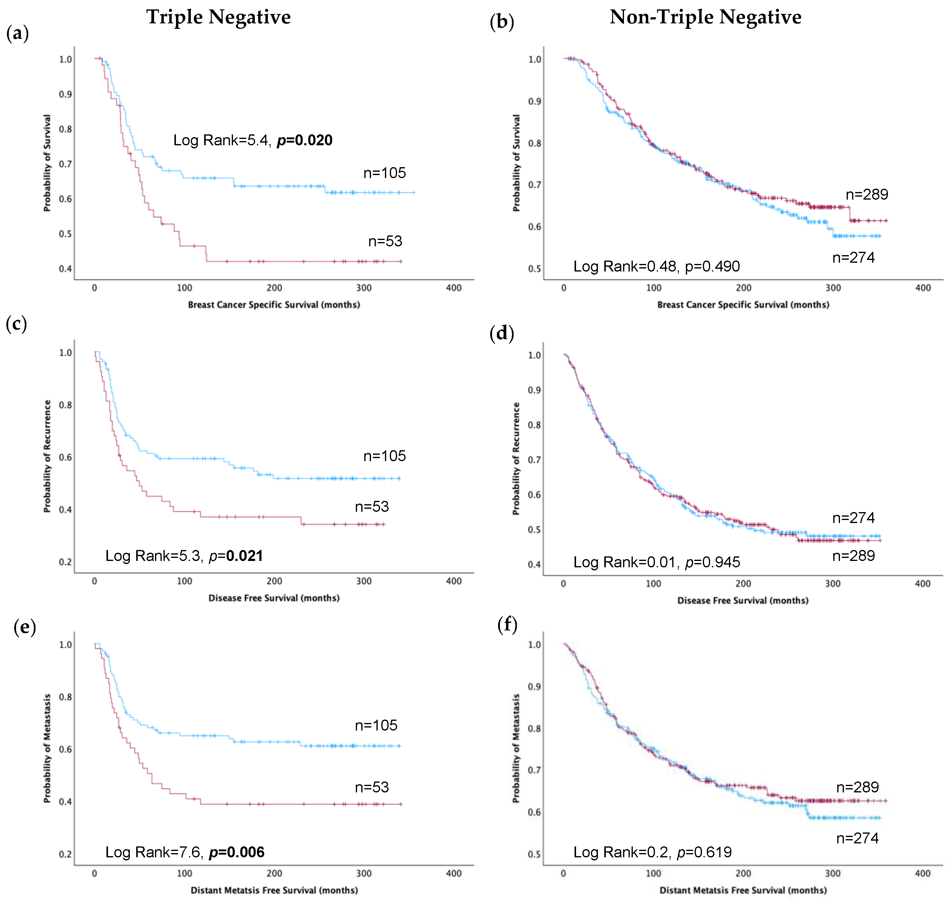 Cancers 16 01949 g002