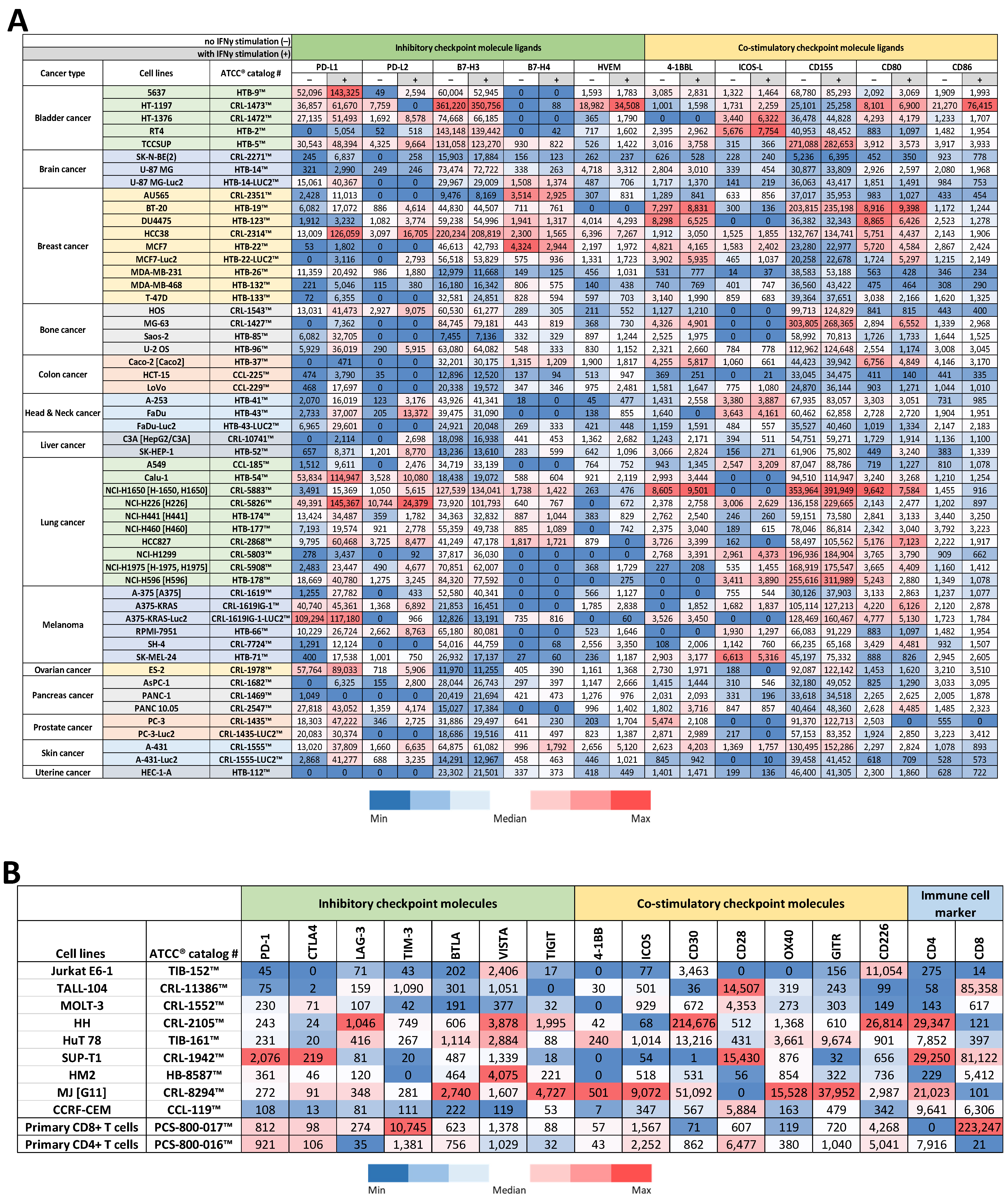 Cancers 16 01965 g001