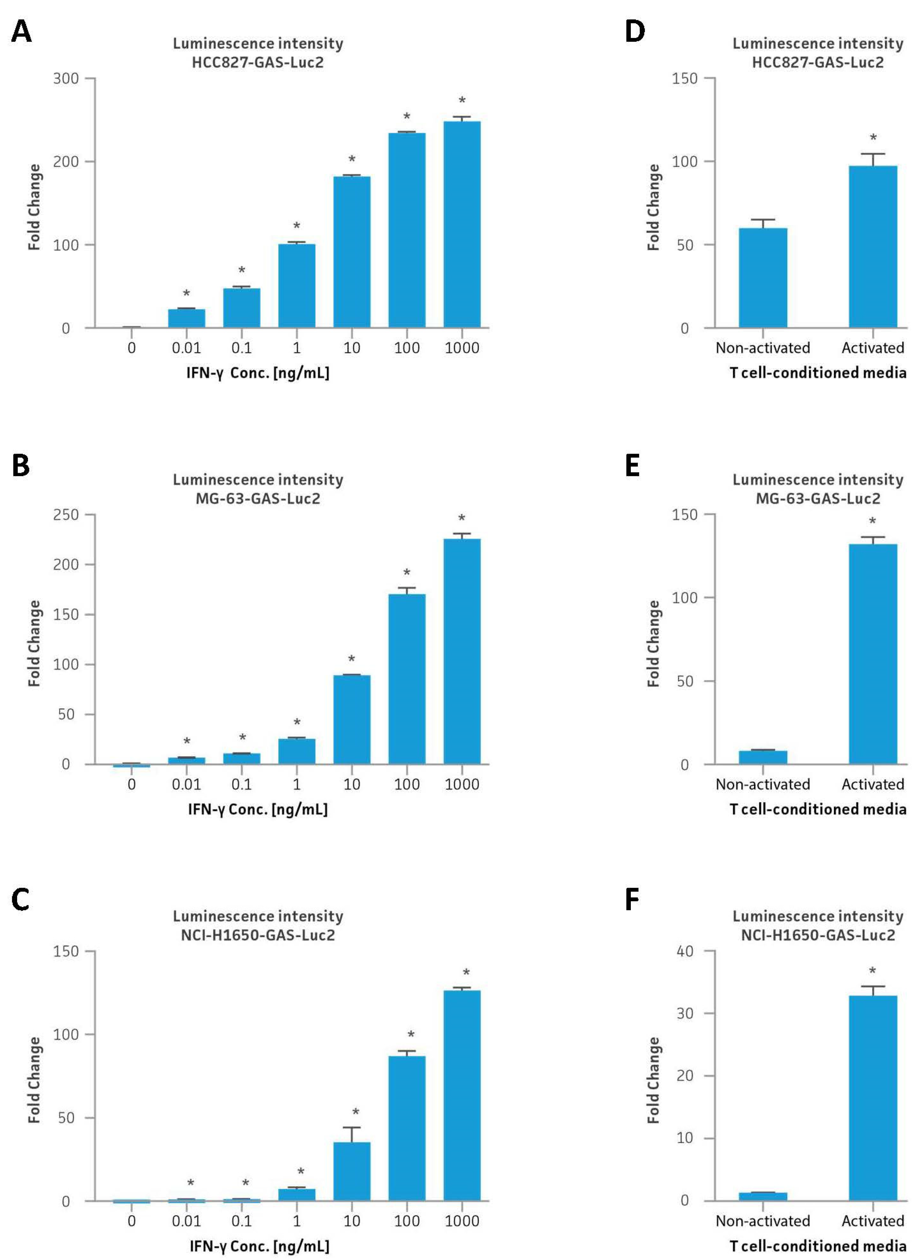 Cancers 16 01965 g002